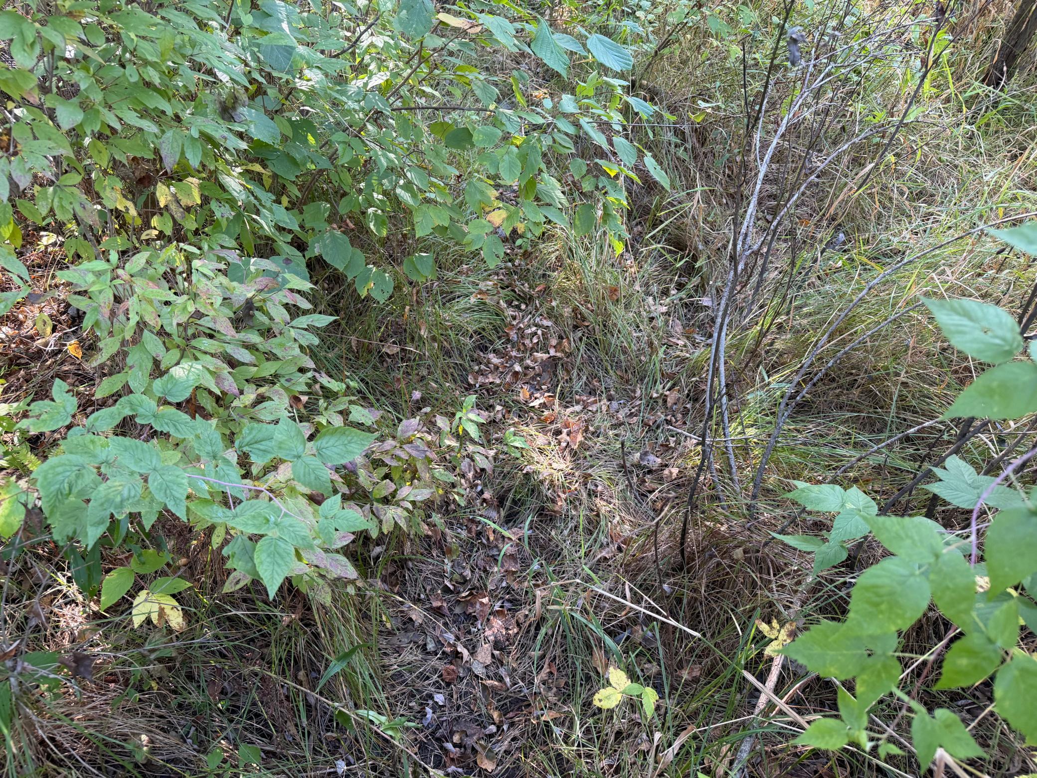 View of Land at TBD 290th Street, Onamia MN 56359, Onamia (62 of 104) - Mike Wilen | Minnesota Team Real Estate