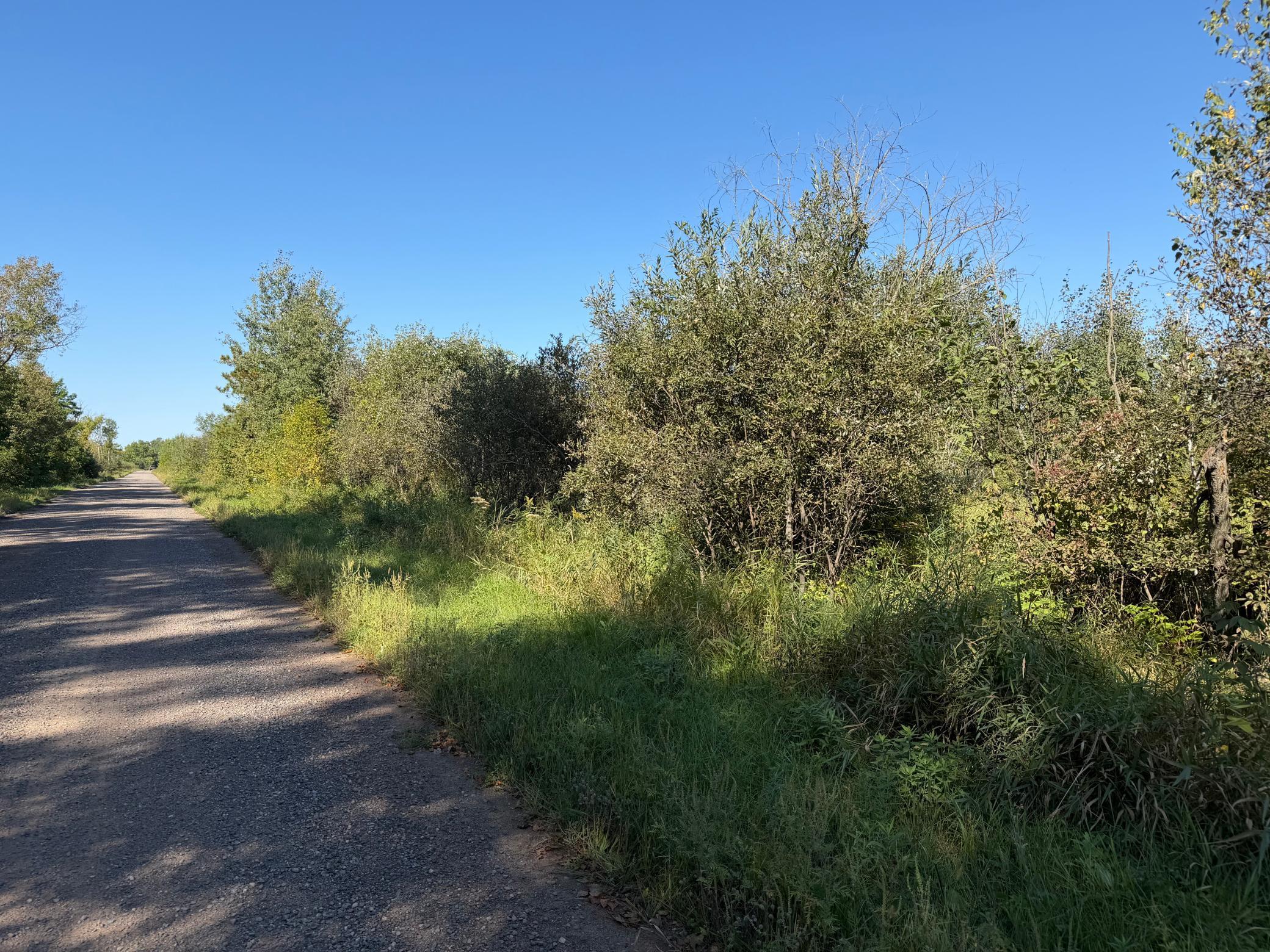 View of Land at TBD 290th Street, Onamia MN 56359, Onamia (61 of 104) - Mike Wilen | Minnesota Team Real Estate