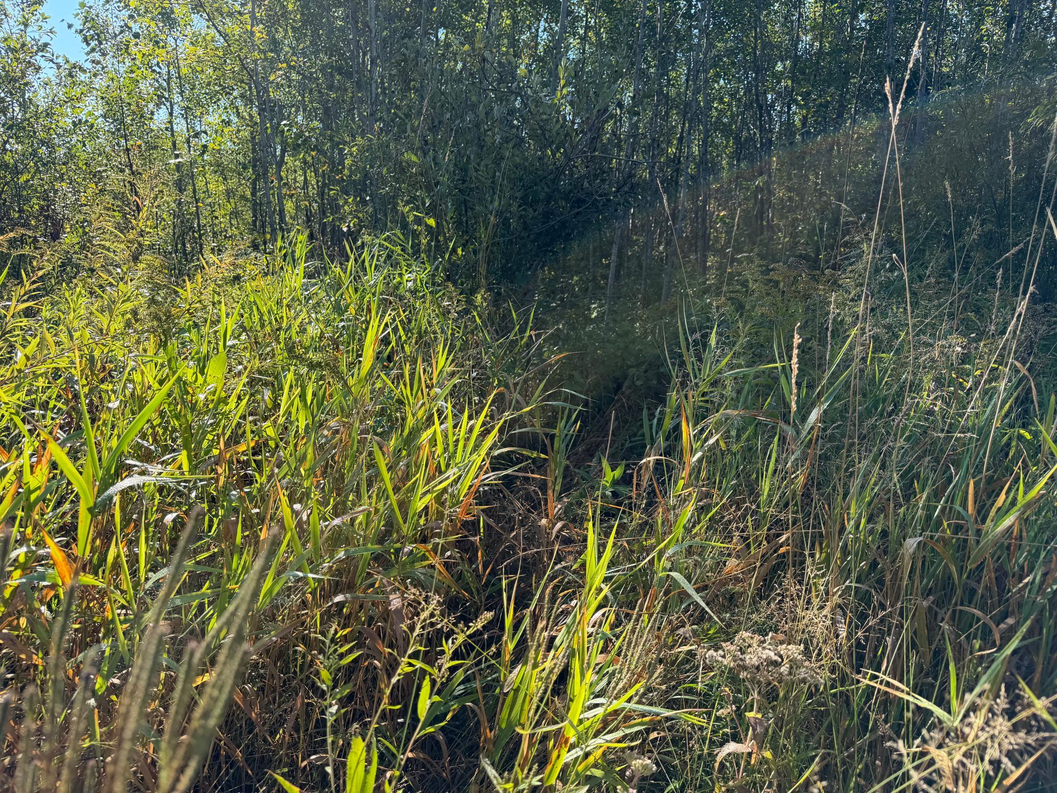 View of Land at TBD 290th Street, Onamia MN 56359, Onamia (60 of 104) - Mike Wilen | Minnesota Team Real Estate