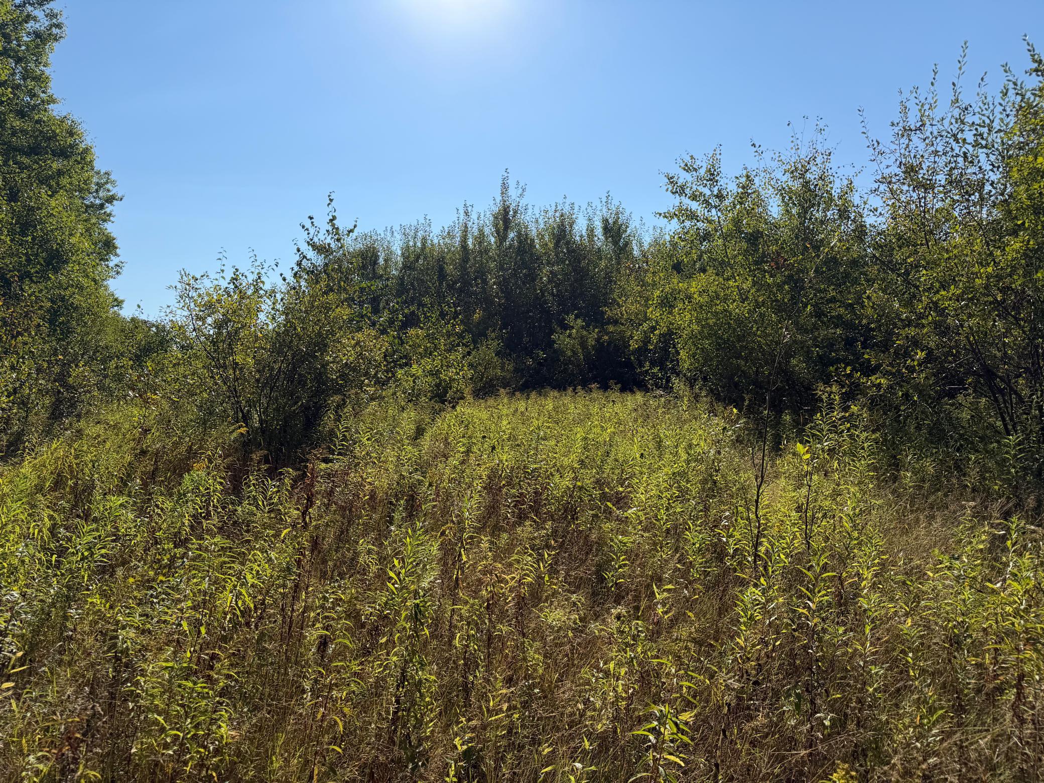 View of Land at TBD 290th Street, Onamia MN 56359, Onamia (58 of 104) - Mike Wilen | Minnesota Team Real Estate