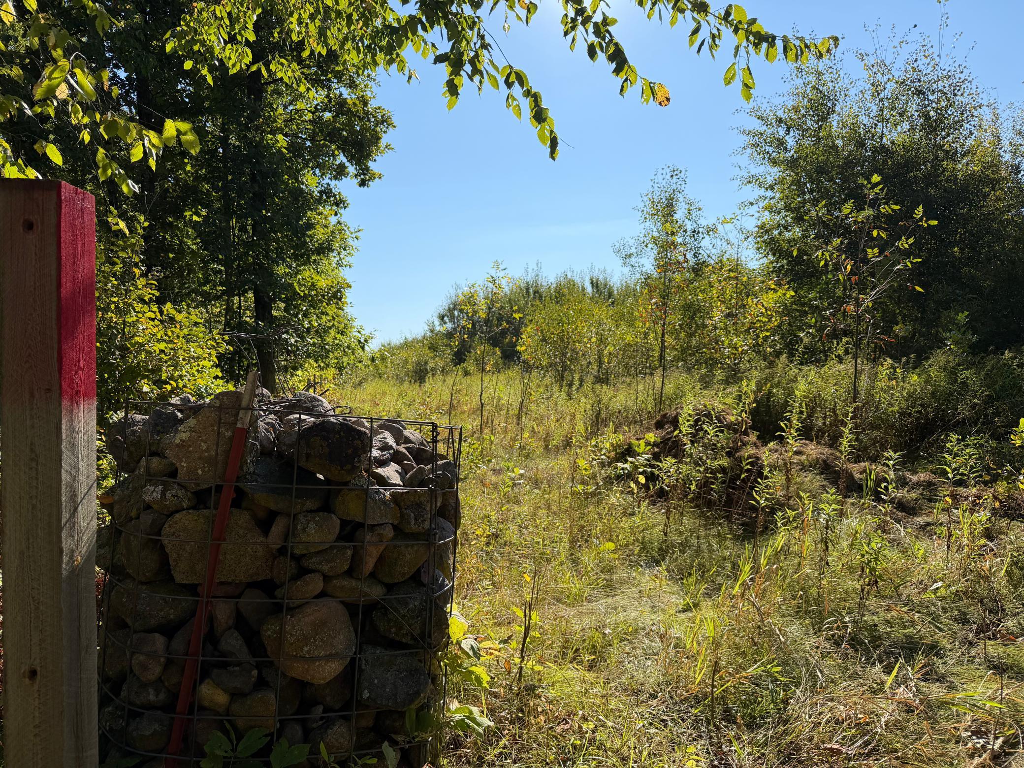 View of Land at TBD 290th Street, Onamia MN 56359, Onamia (56 of 104) - Mike Wilen | Minnesota Team Real Estate