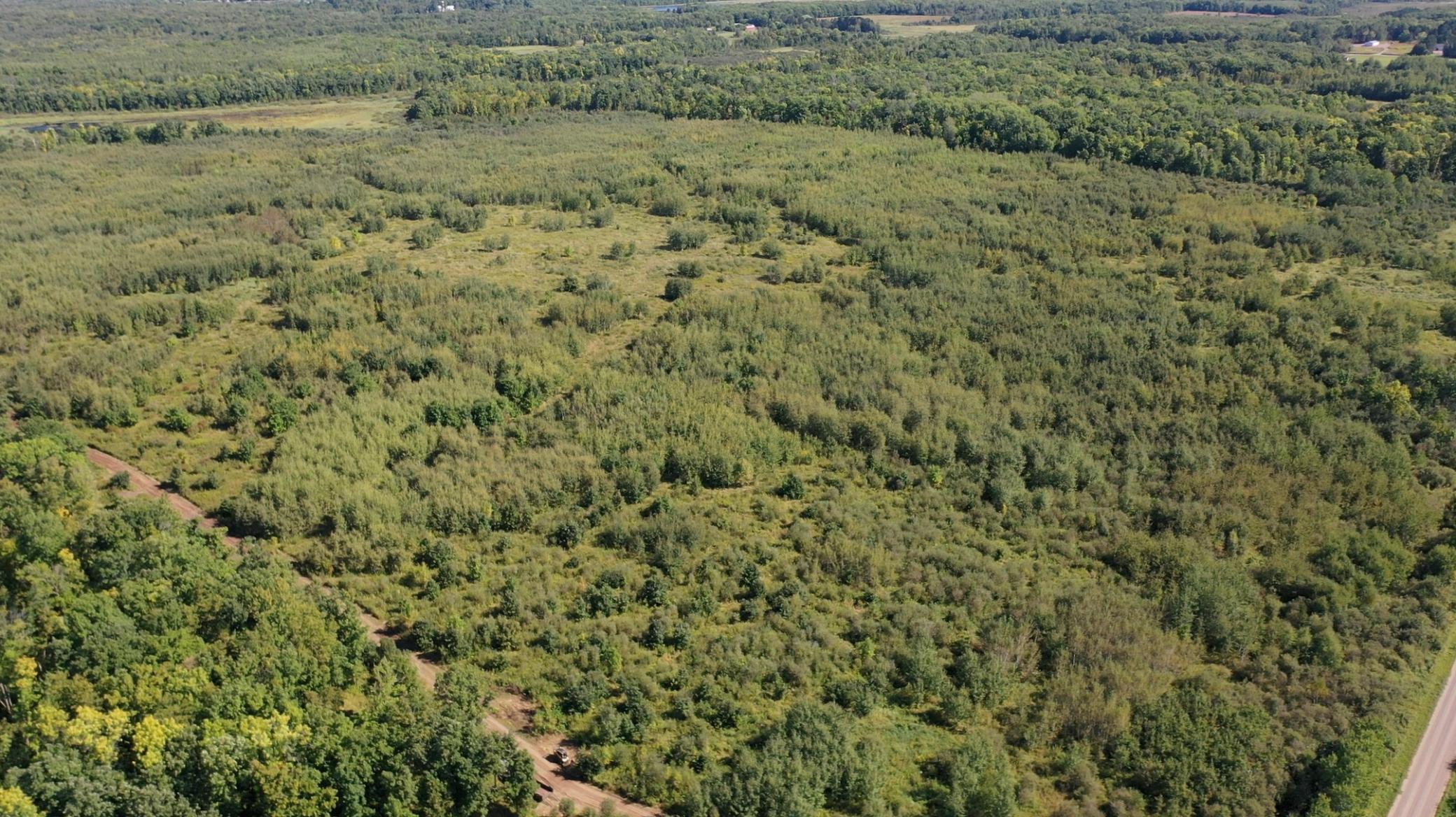 View of Land at TBD 290th Street, Onamia MN 56359, Onamia (51 of 104) - Mike Wilen | Minnesota Team Real Estate