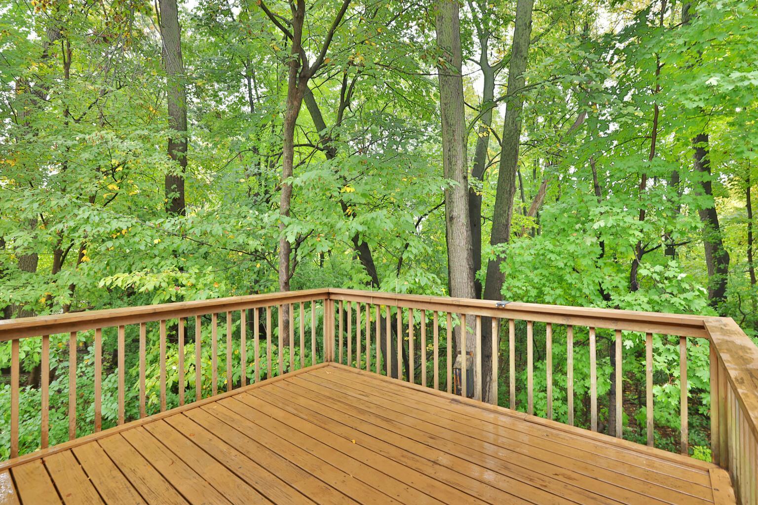 View of Residential at 15641 27th Avenue, Plymouth MN 55447, Plymouth (10 of 23) - Mike Wilen | Minnesota Team Real Estate