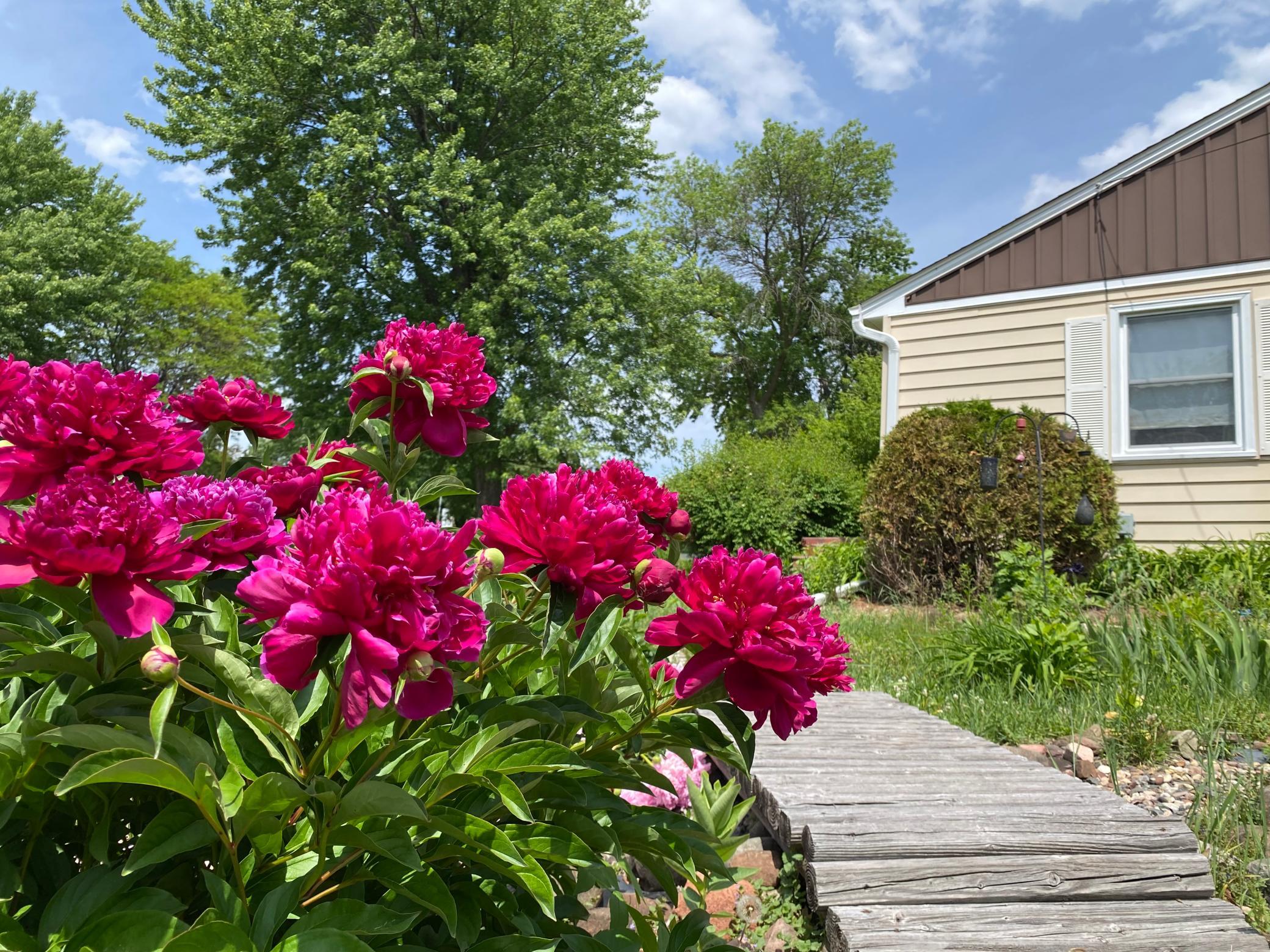 View of Residential at 3004 Bellaire Avenue, Maplewood MN 55109, Maplewood (44 of 47) - Mike Wilen | Minnesota Team Real Estate