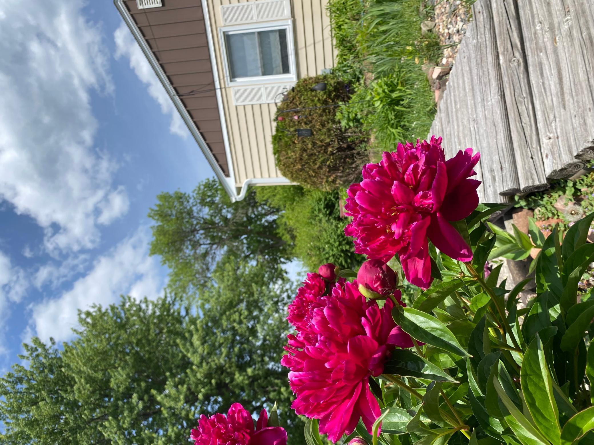 View of Residential at 3004 Bellaire Avenue, Maplewood MN 55109, Maplewood (43 of 47) - Mike Wilen | Minnesota Team Real Estate
