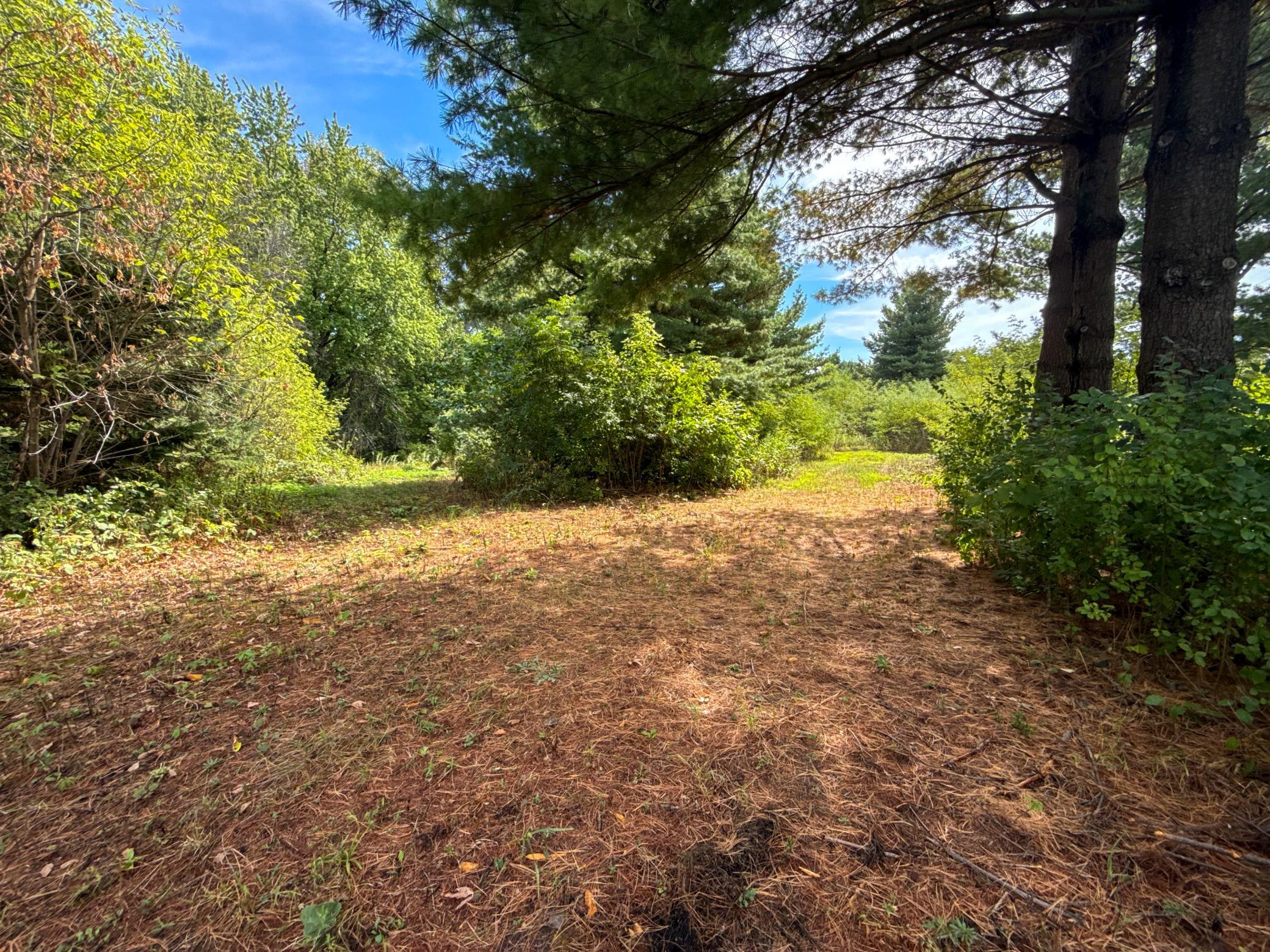View of Land at 16868 Ravenna Trail, Hastings MN 55033, Hastings (37 of 37) - Mike Wilen | Minnesota Team Real Estate