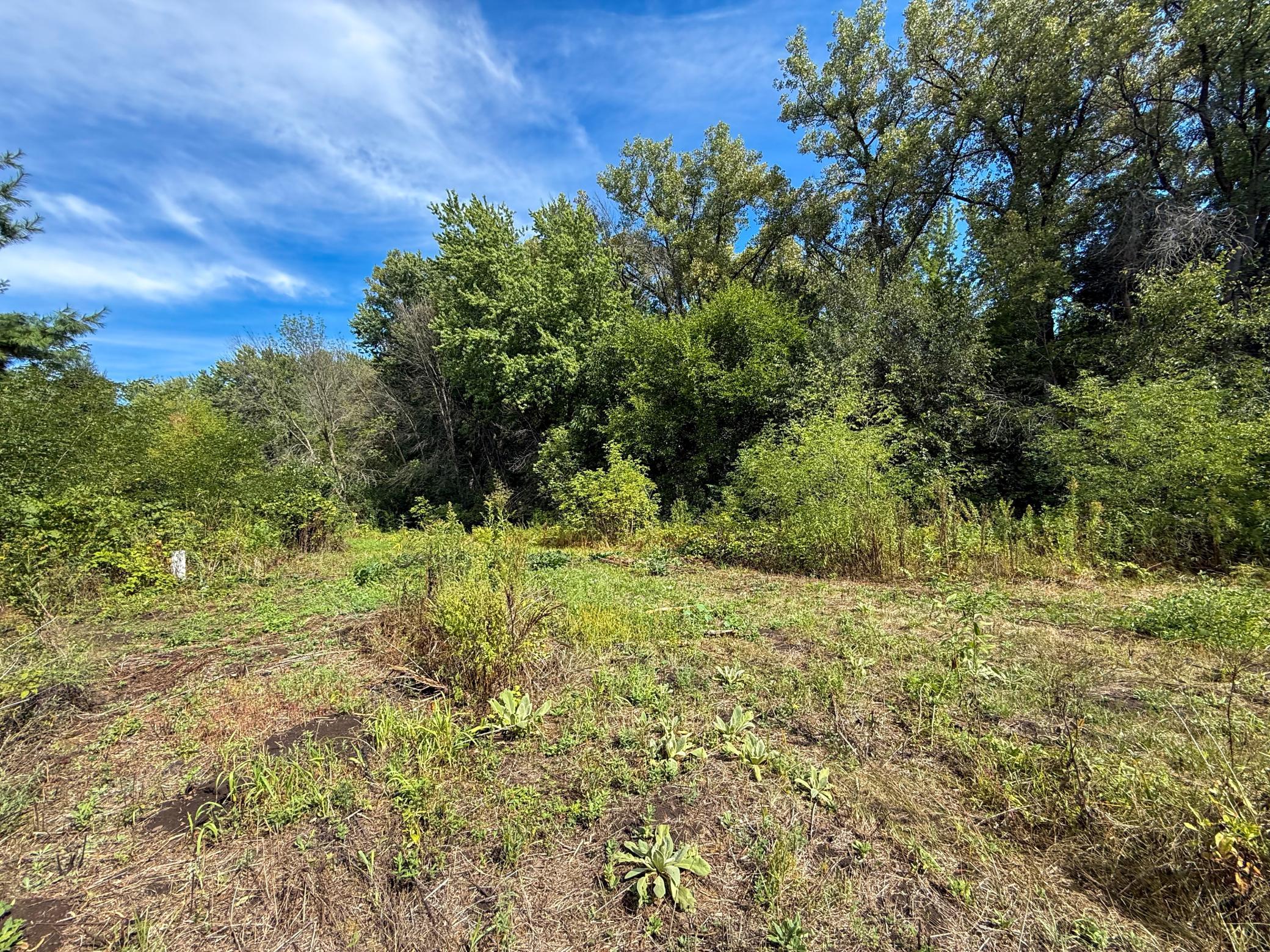 View of Land at 16868 Ravenna Trail, Hastings MN 55033, Hastings (35 of 37) - Mike Wilen | Minnesota Team Real Estate