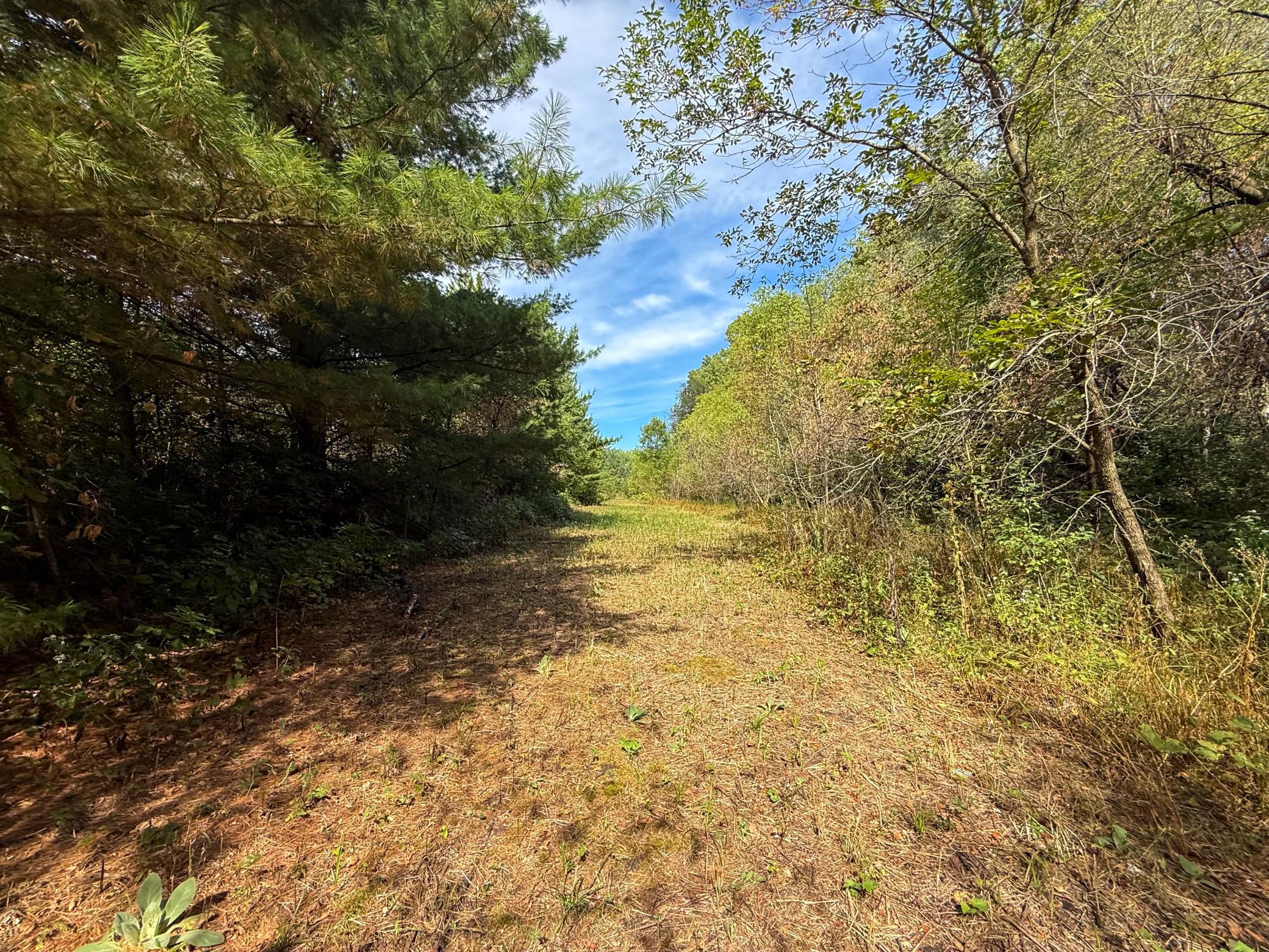 View of Land at 16868 Ravenna Trail, Hastings MN 55033, Hastings (33 of 37) - Mike Wilen | Minnesota Team Real Estate