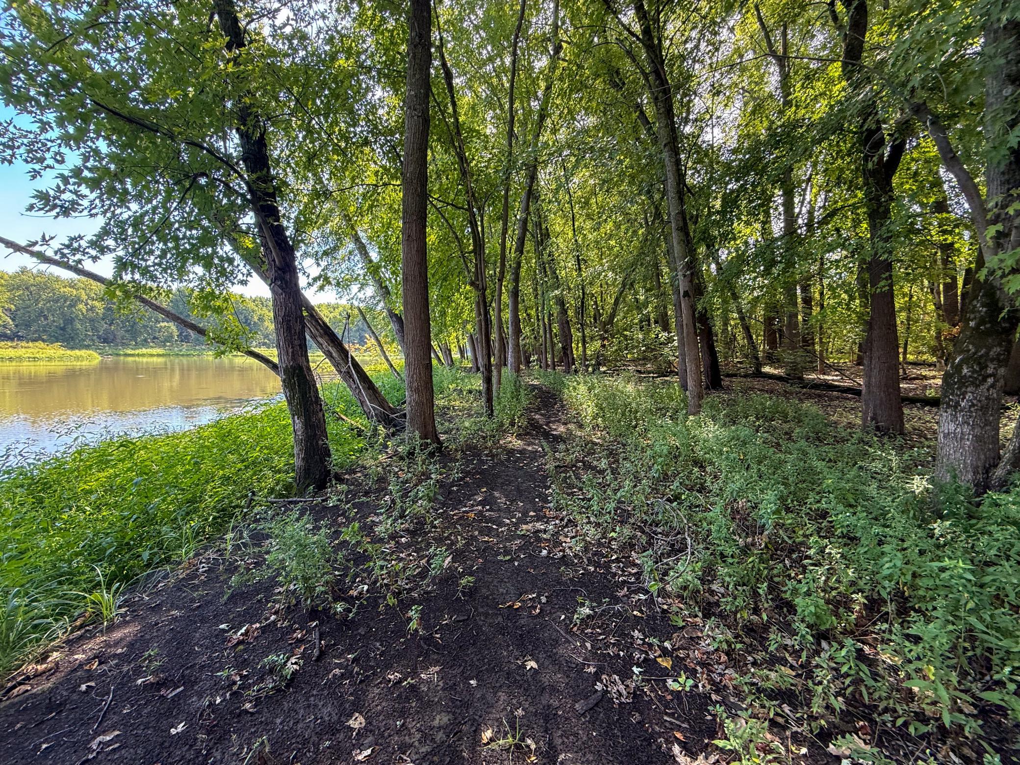 View of Land at 16868 Ravenna Trail, Hastings MN 55033, Hastings (29 of 37) - Mike Wilen | Minnesota Team Real Estate