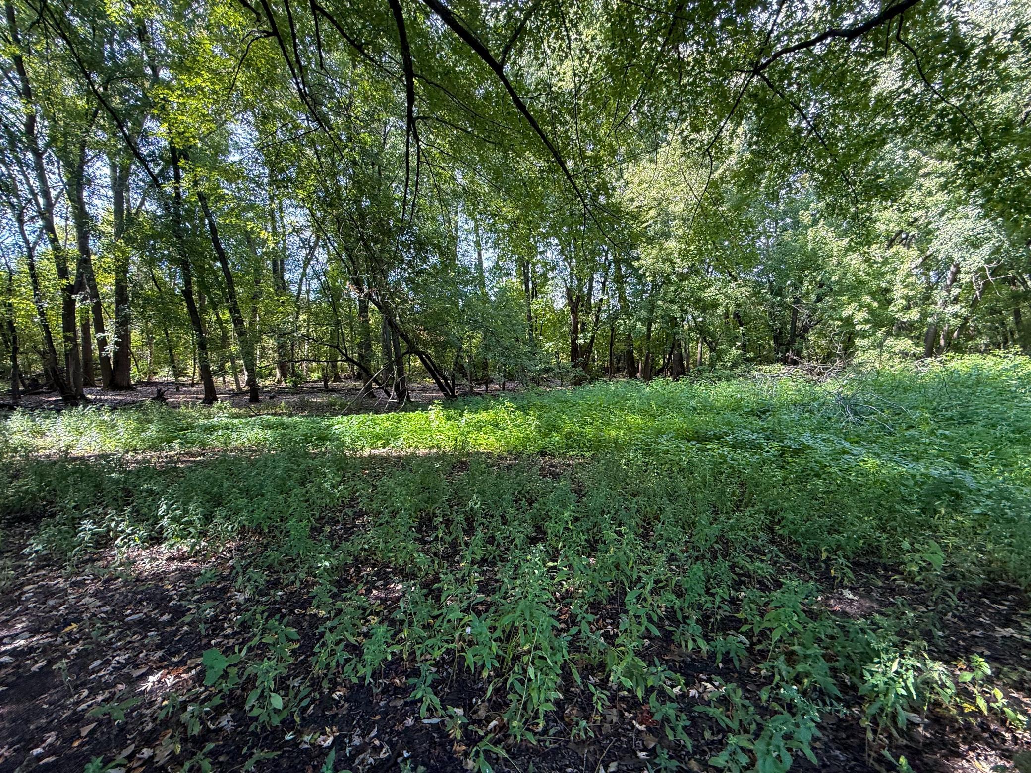 View of Land at 16868 Ravenna Trail, Hastings MN 55033, Hastings (28 of 37) - Mike Wilen | Minnesota Team Real Estate