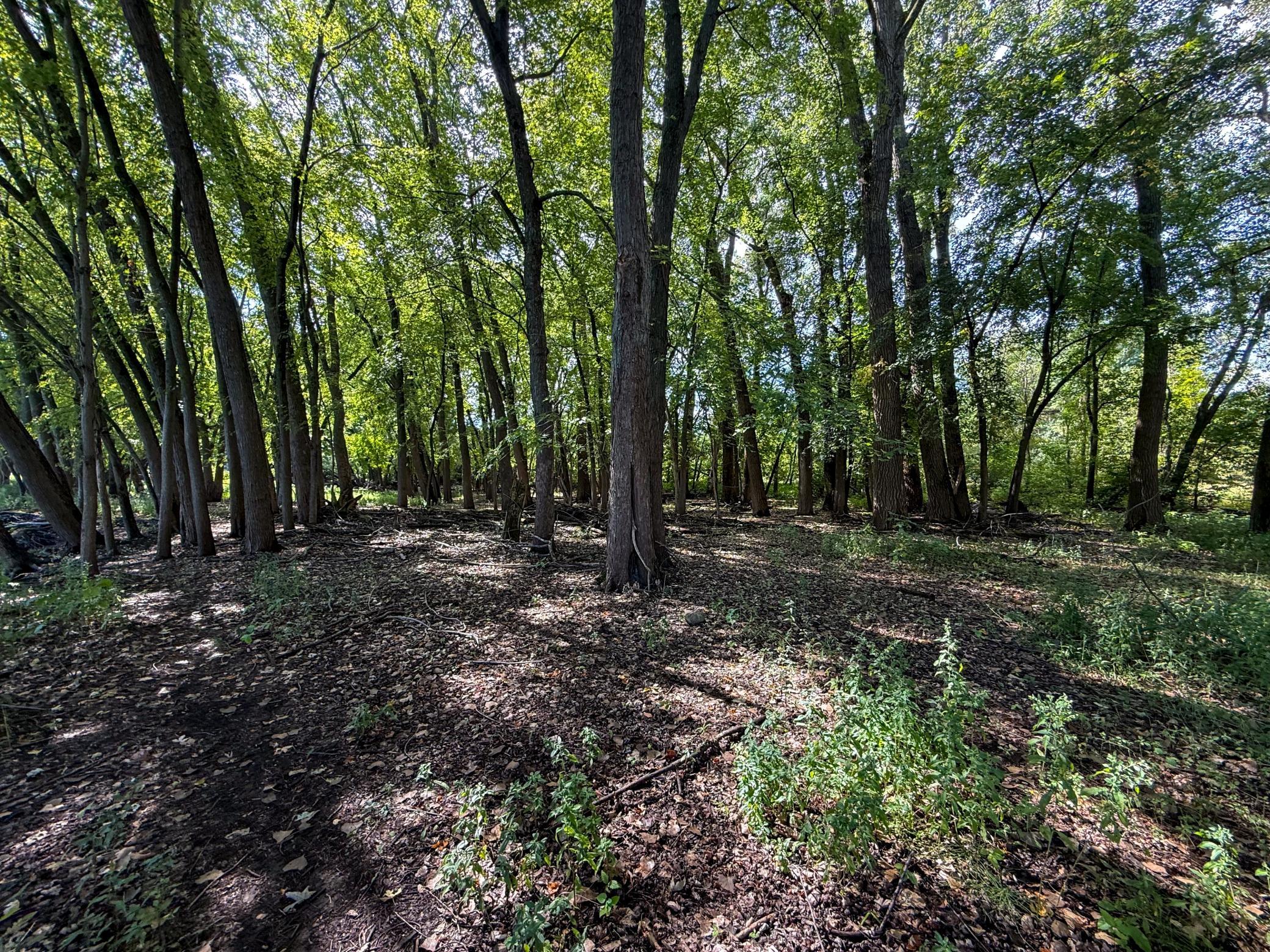 View of Land at 16868 Ravenna Trail, Hastings MN 55033, Hastings (24 of 37) - Mike Wilen | Minnesota Team Real Estate