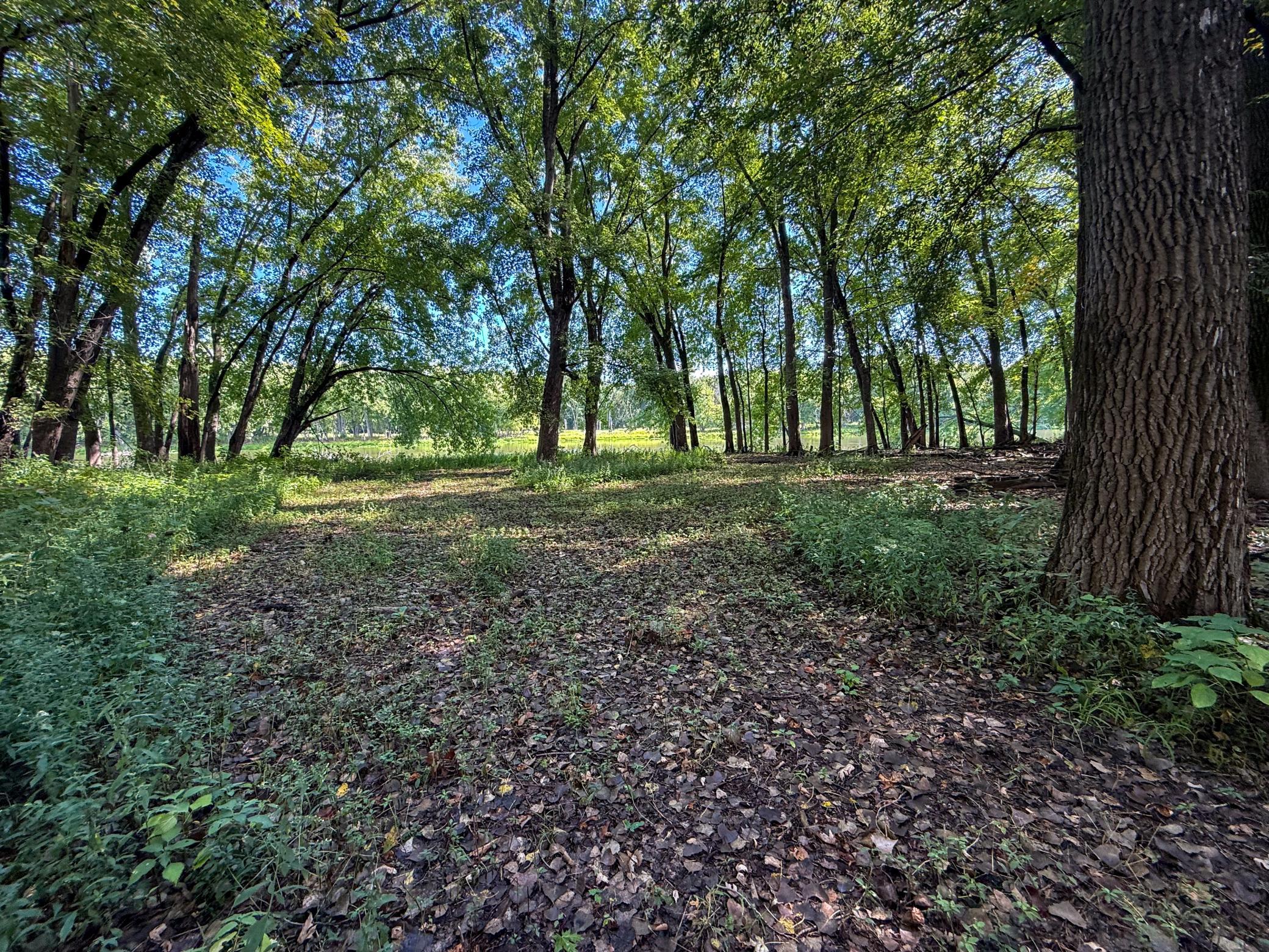 View of Land at 16868 Ravenna Trail, Hastings MN 55033, Hastings (19 of 37) - Mike Wilen | Minnesota Team Real Estate