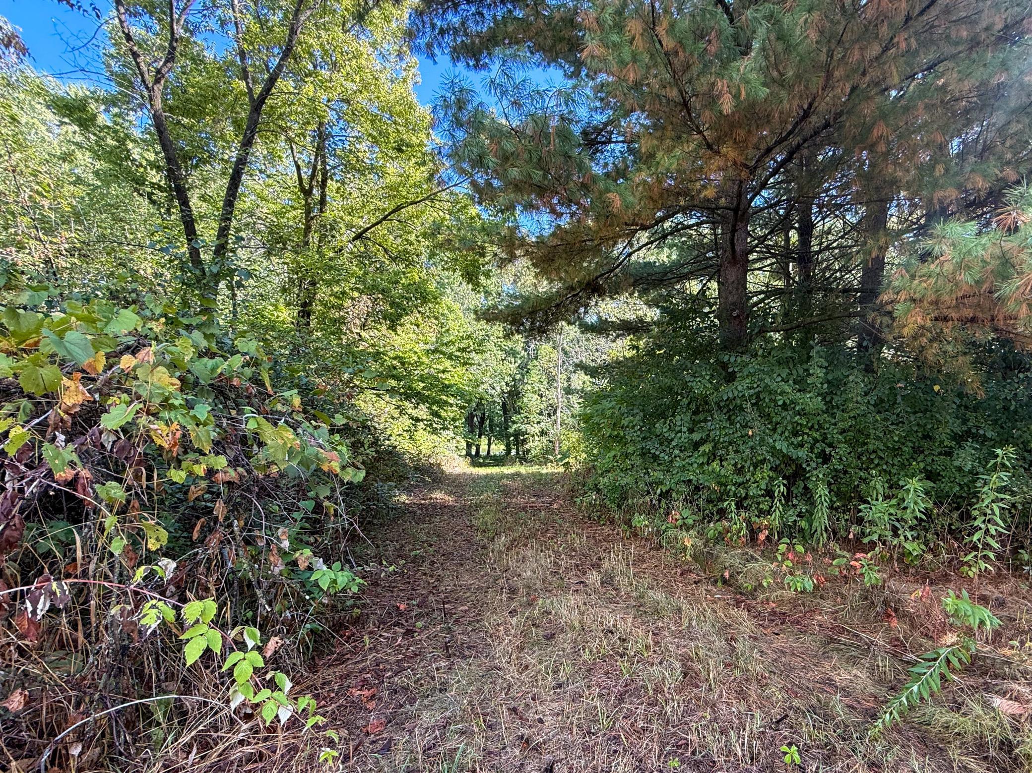 View of Land at 16868 Ravenna Trail, Hastings MN 55033, Hastings (17 of 37) - Mike Wilen | Minnesota Team Real Estate