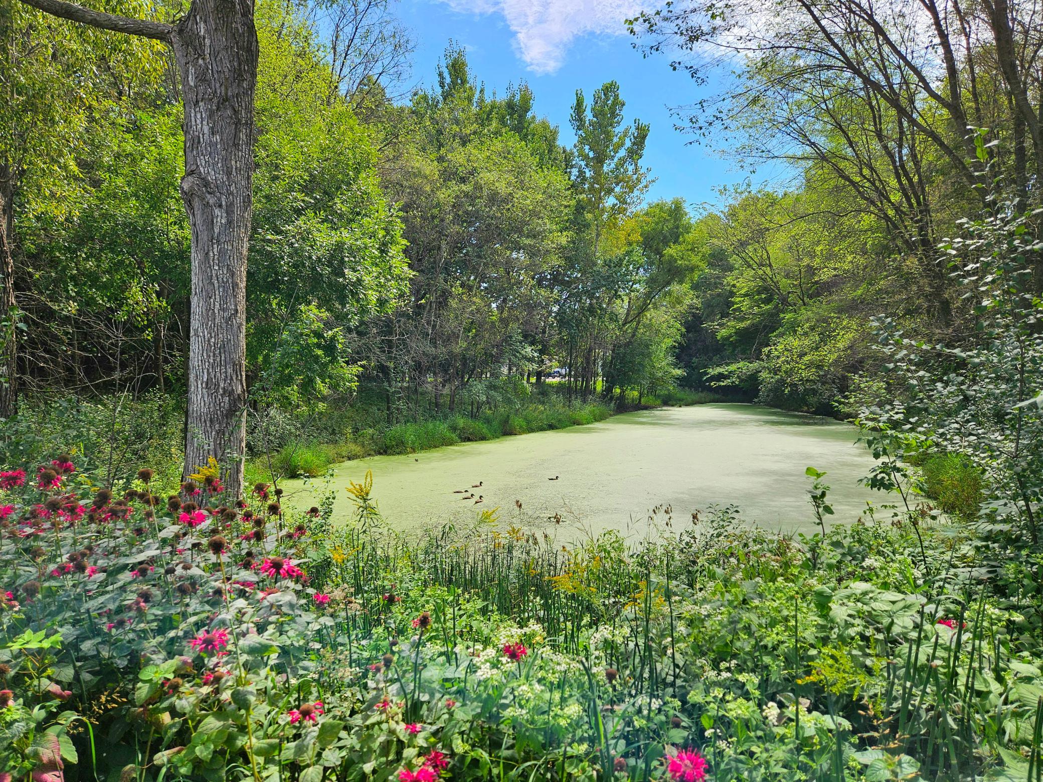 View of Residential at 19277 Freeport Court, Elk River MN 55330, Elk River (23 of 23) - Mike Wilen | Minnesota Team Real Estate