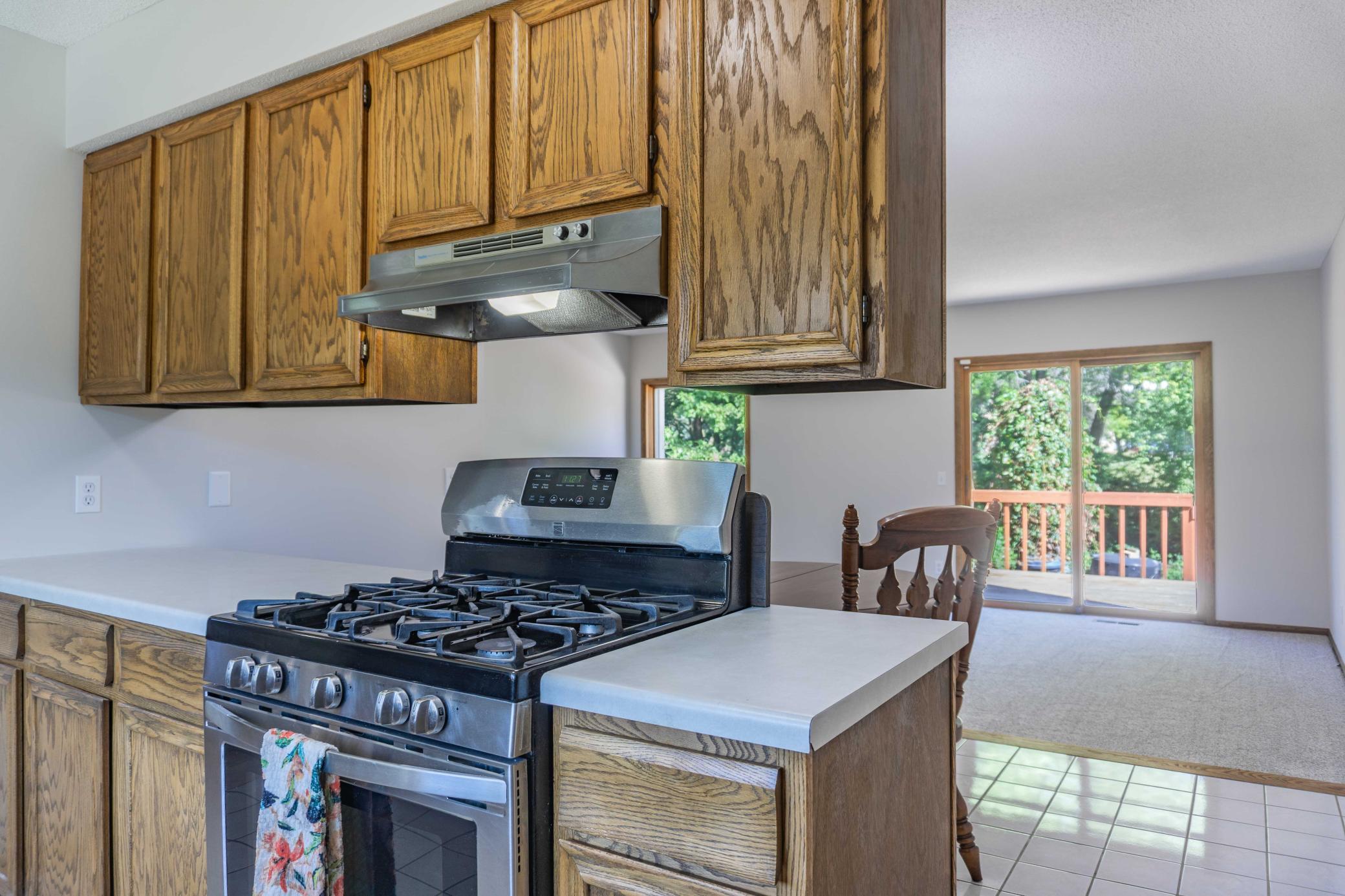 View of Residential at 110105 Arboretum Way, Chaska MN 55318, Chaska (17 of 61) - Mike Wilen | Minnesota Team Real Estate