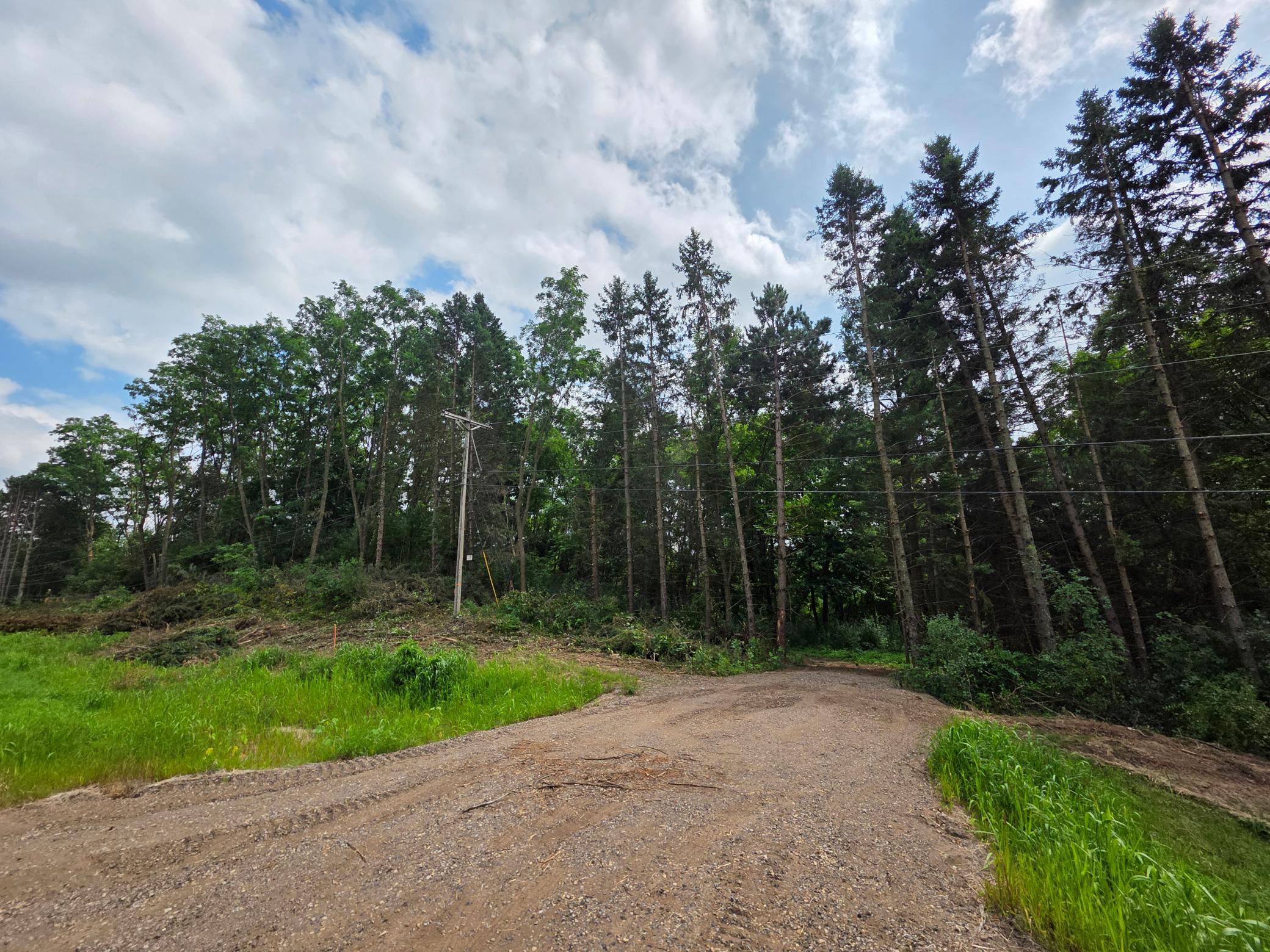 View of Land at 14xxx Dellwood Road, Stillwater - Mike Wilen | Minnesota Team Real Estate