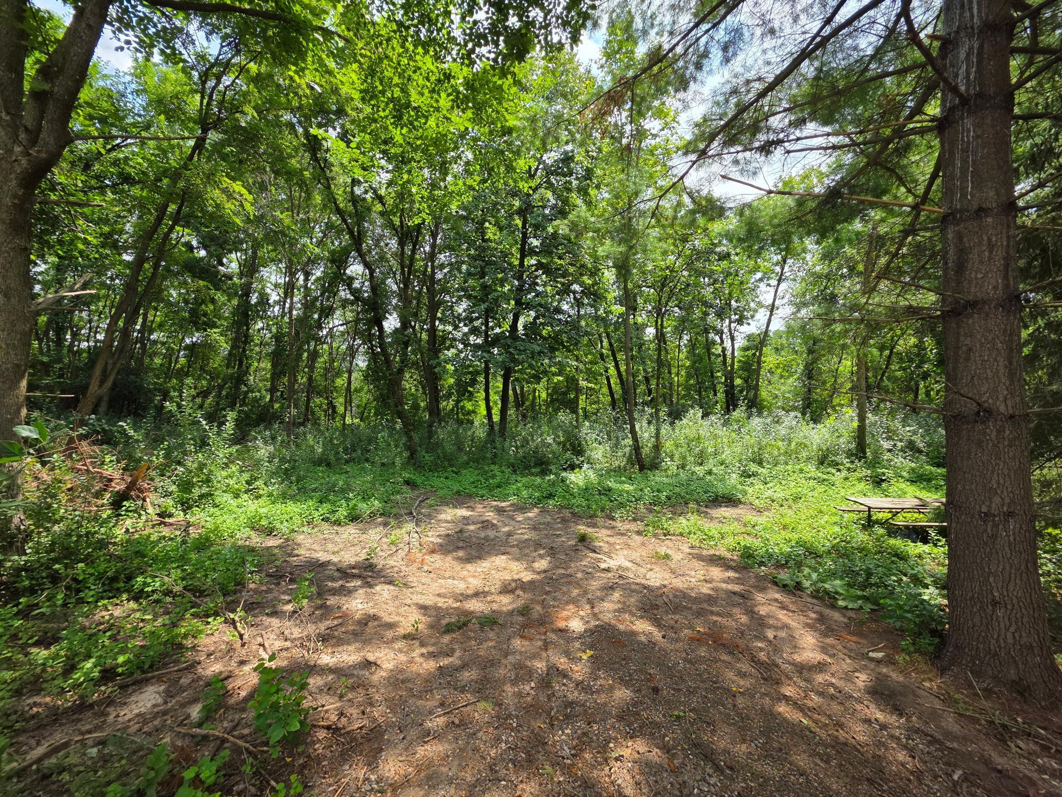 View of Land at 14xxx Dellwood Road, Stillwater MN 55082, Stillwater (2 of 6) - Mike Wilen | Minnesota Team Real Estate