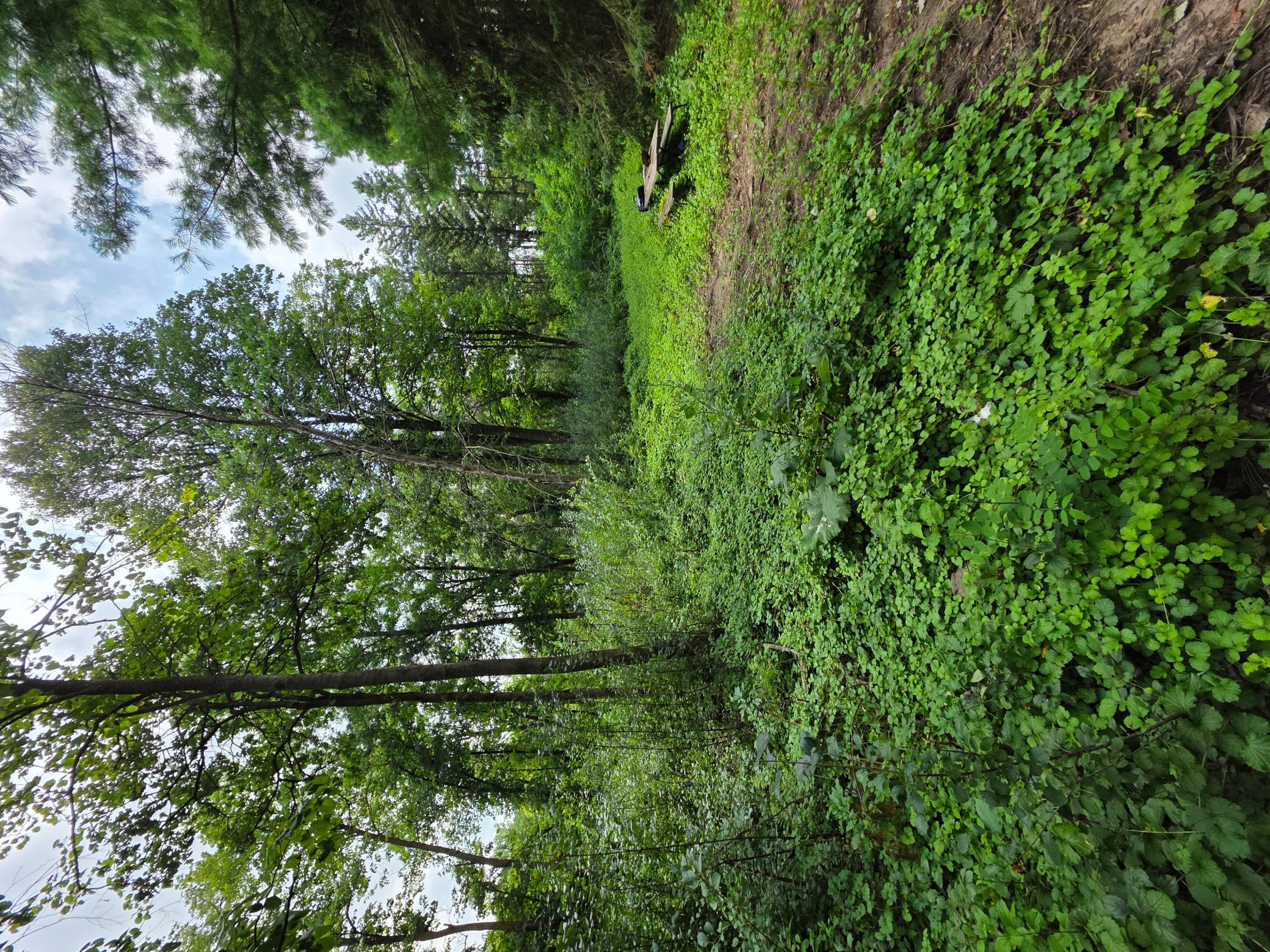 View of Land at 14xxx Dellwood Road, Stillwater MN 55082, Stillwater (6 of 6) - Mike Wilen | Minnesota Team Real Estate