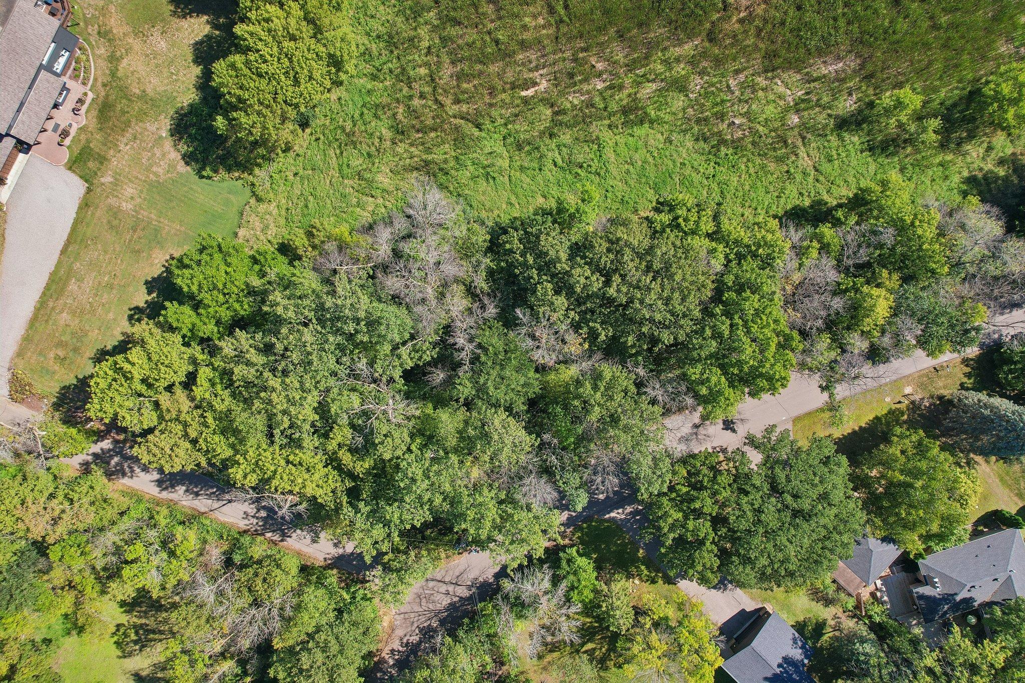 View of Land at 17908 Covington Road, Minnetonka MN 55345, Minnetonka (6 of 8) - Mike Wilen | Minnesota Team Real Estate