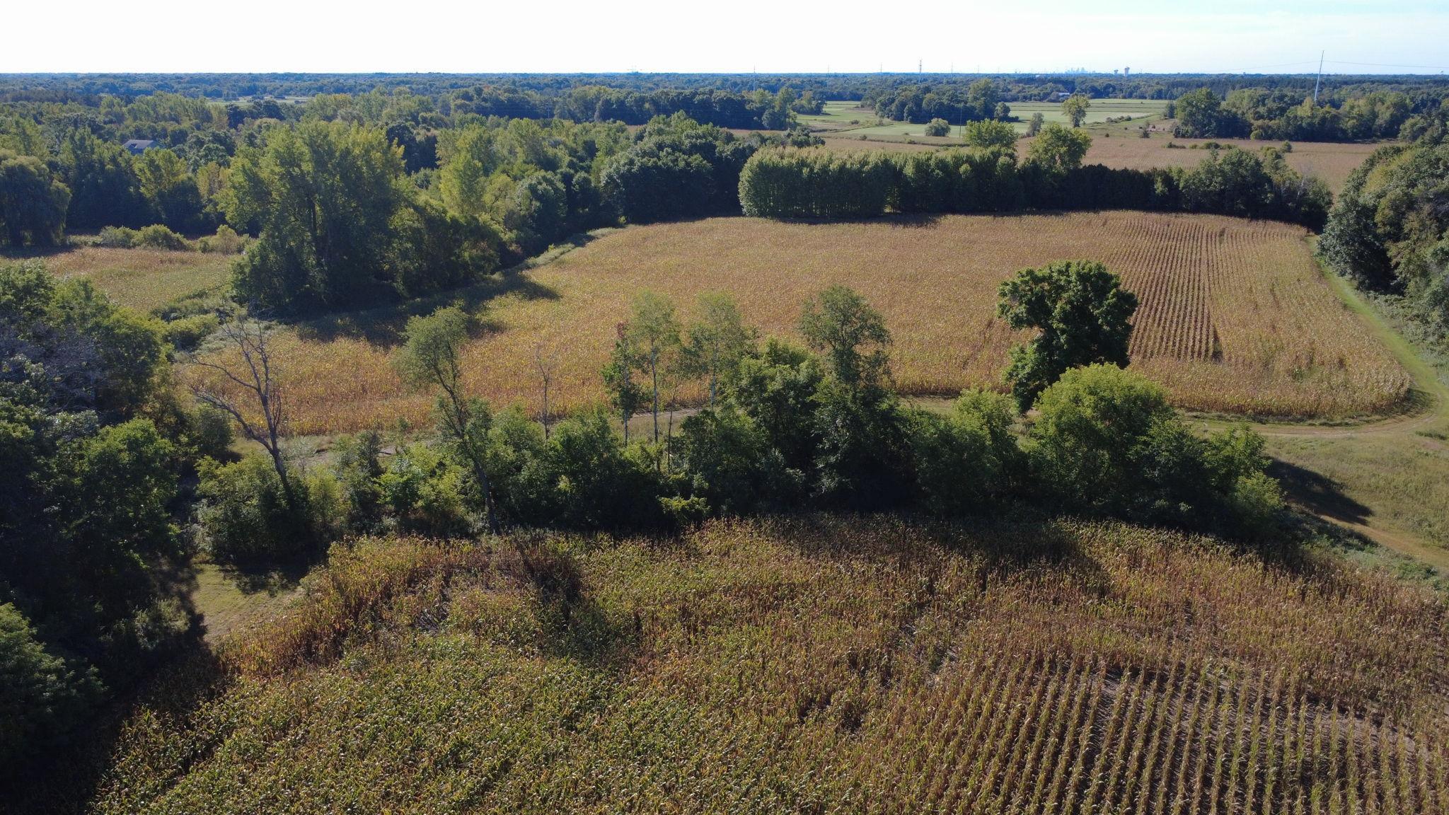 View of Land at XXX TBD, Andover MN 55304, Andover (41 of 44) - Mike Wilen | Minnesota Team Real Estate