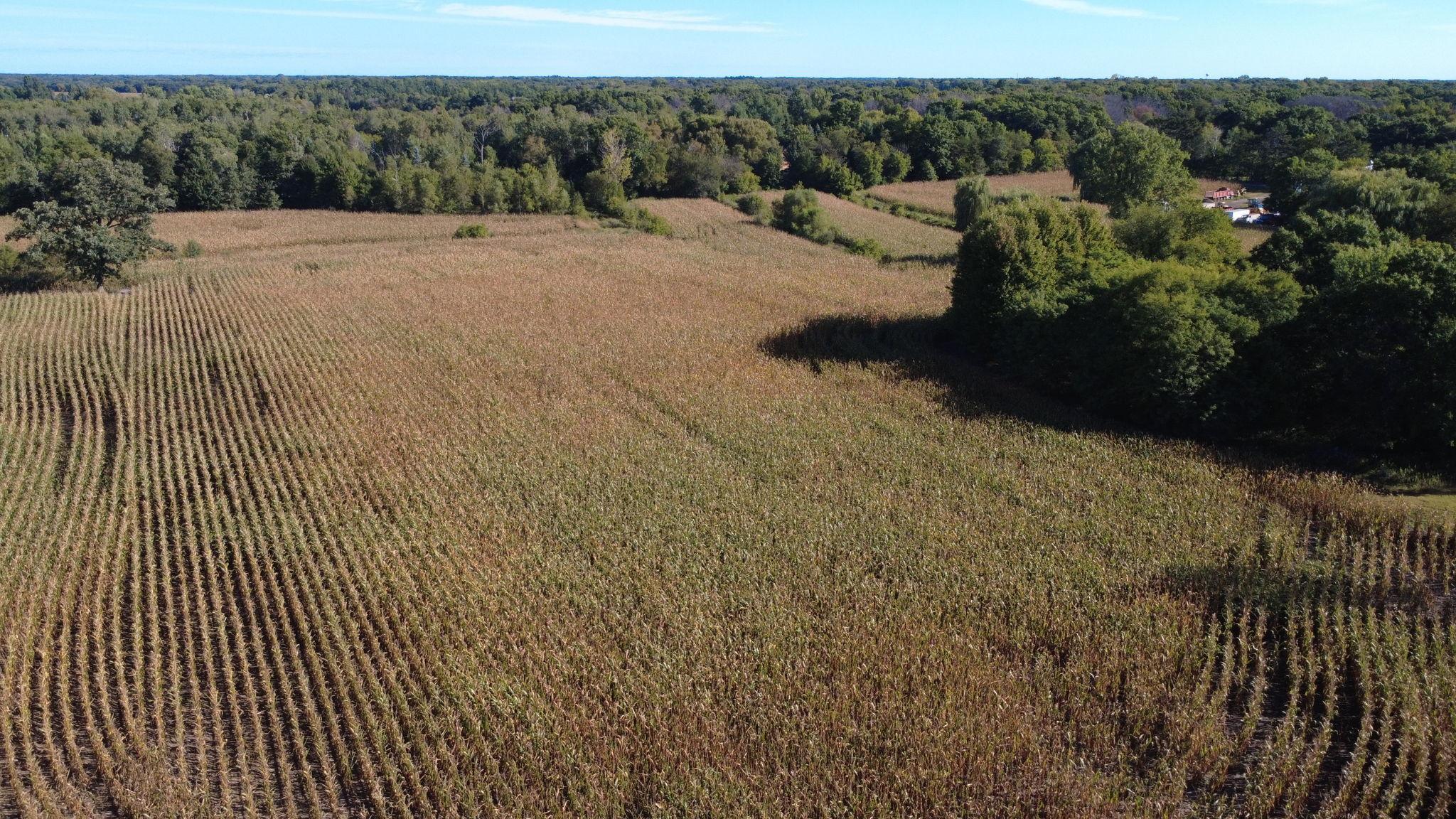 View of Land at XXX TBD, Andover MN 55304, Andover (40 of 44) - Mike Wilen | Minnesota Team Real Estate