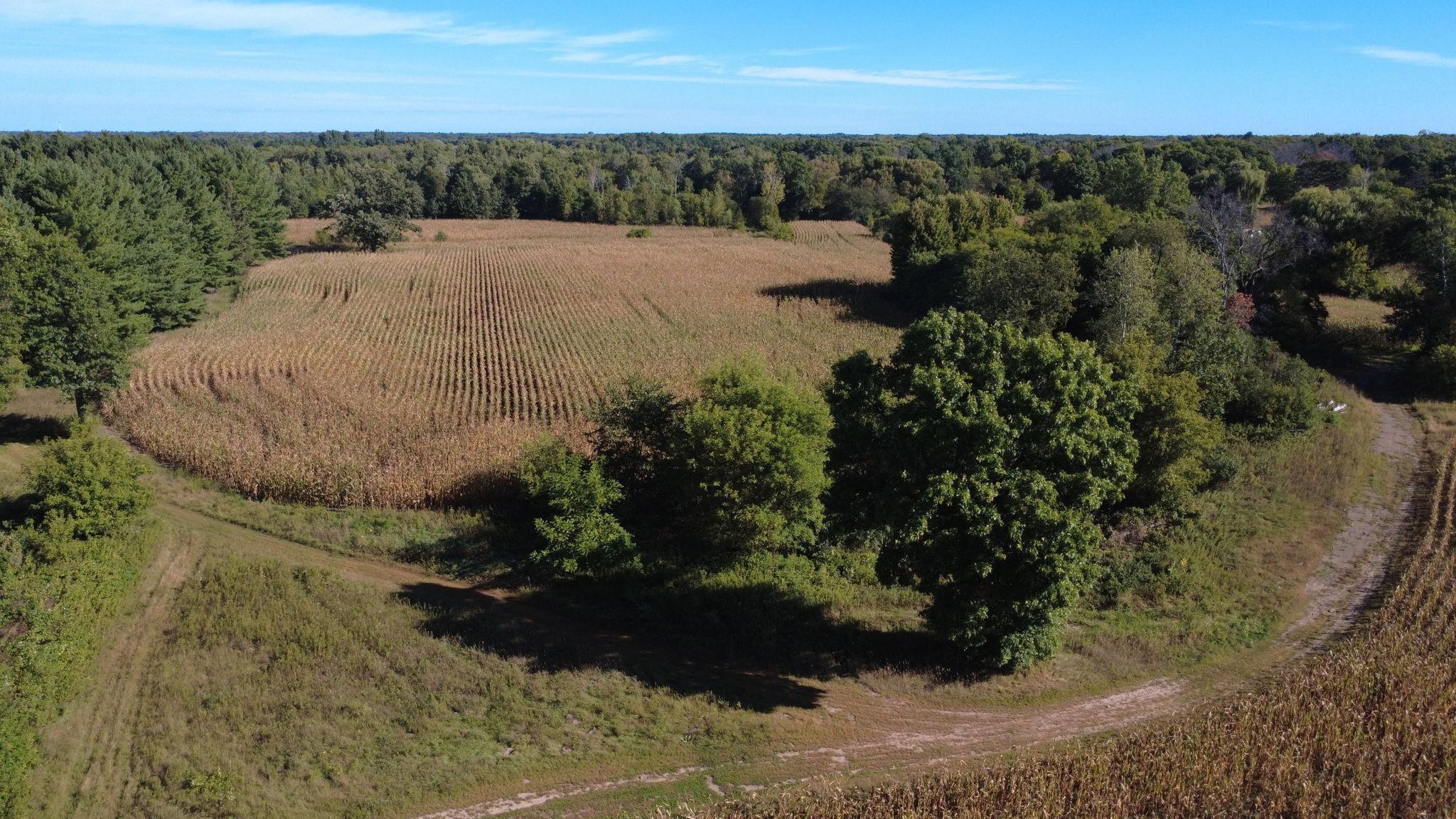 View of Land at XXX TBD, Andover MN 55304, Andover (39 of 44) - Mike Wilen | Minnesota Team Real Estate