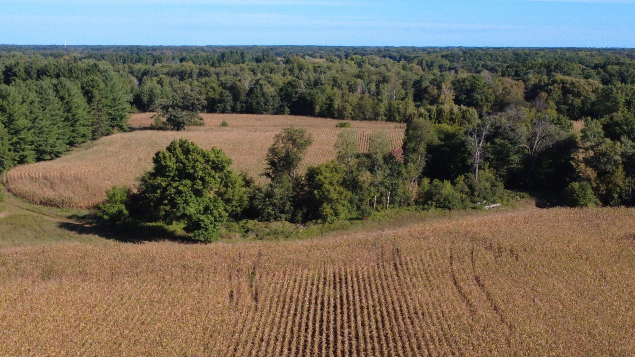 View of Land at XXX TBD, Andover MN 55304, Andover (38 of 44) - Mike Wilen | Minnesota Team Real Estate