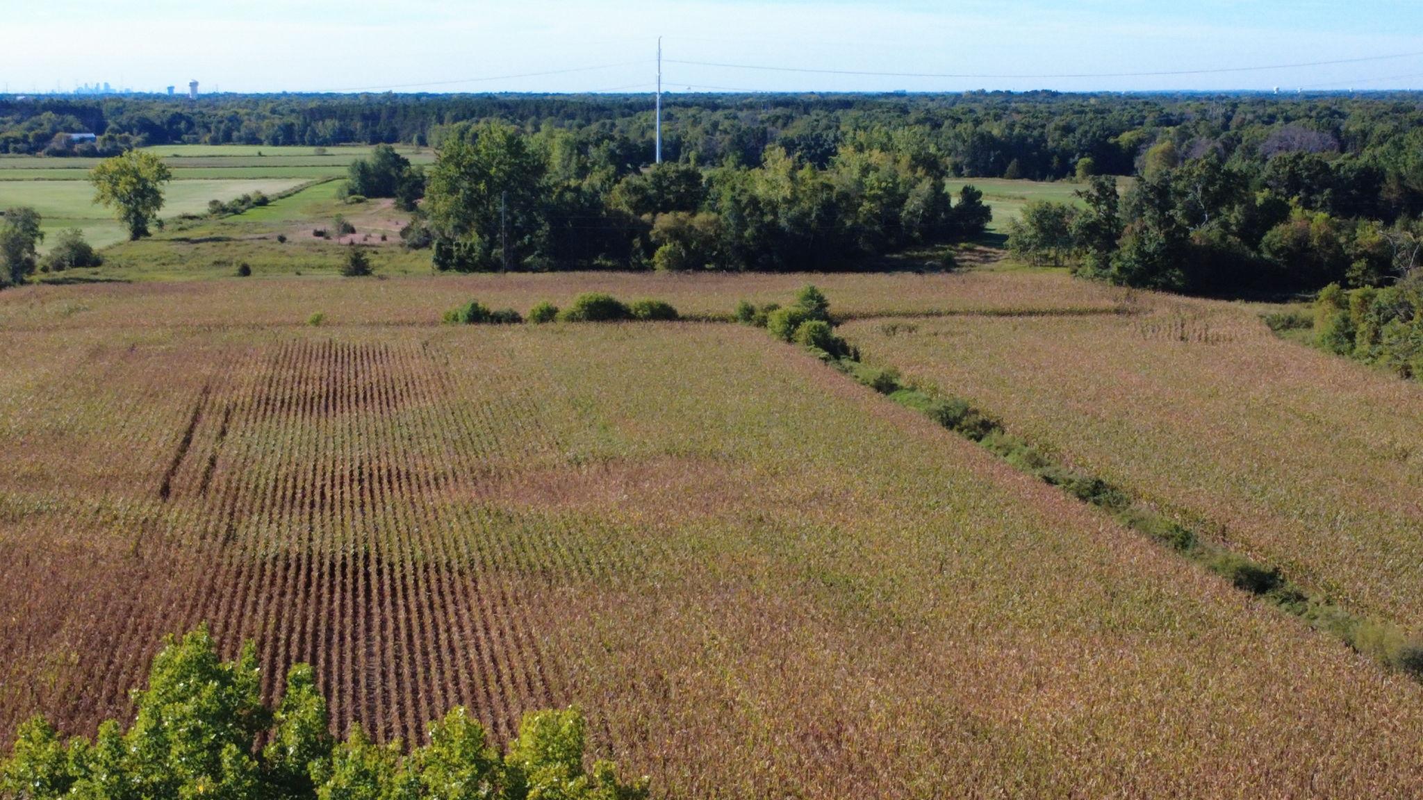 View of Land at XXX TBD, Andover MN 55304, Andover (37 of 44) - Mike Wilen | Minnesota Team Real Estate