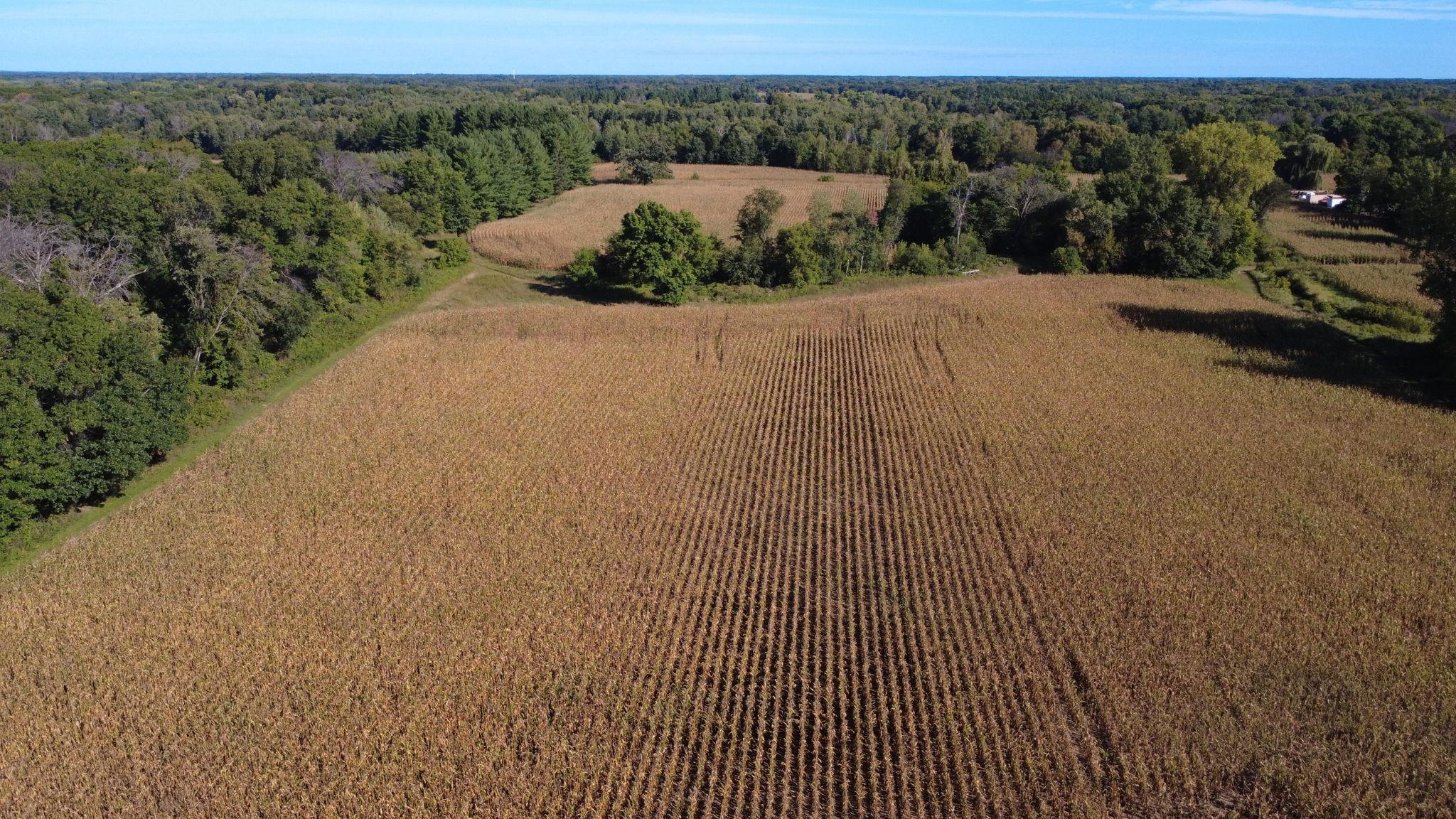 View of Land at XXX TBD, Andover MN 55304, Andover (35 of 44) - Mike Wilen | Minnesota Team Real Estate