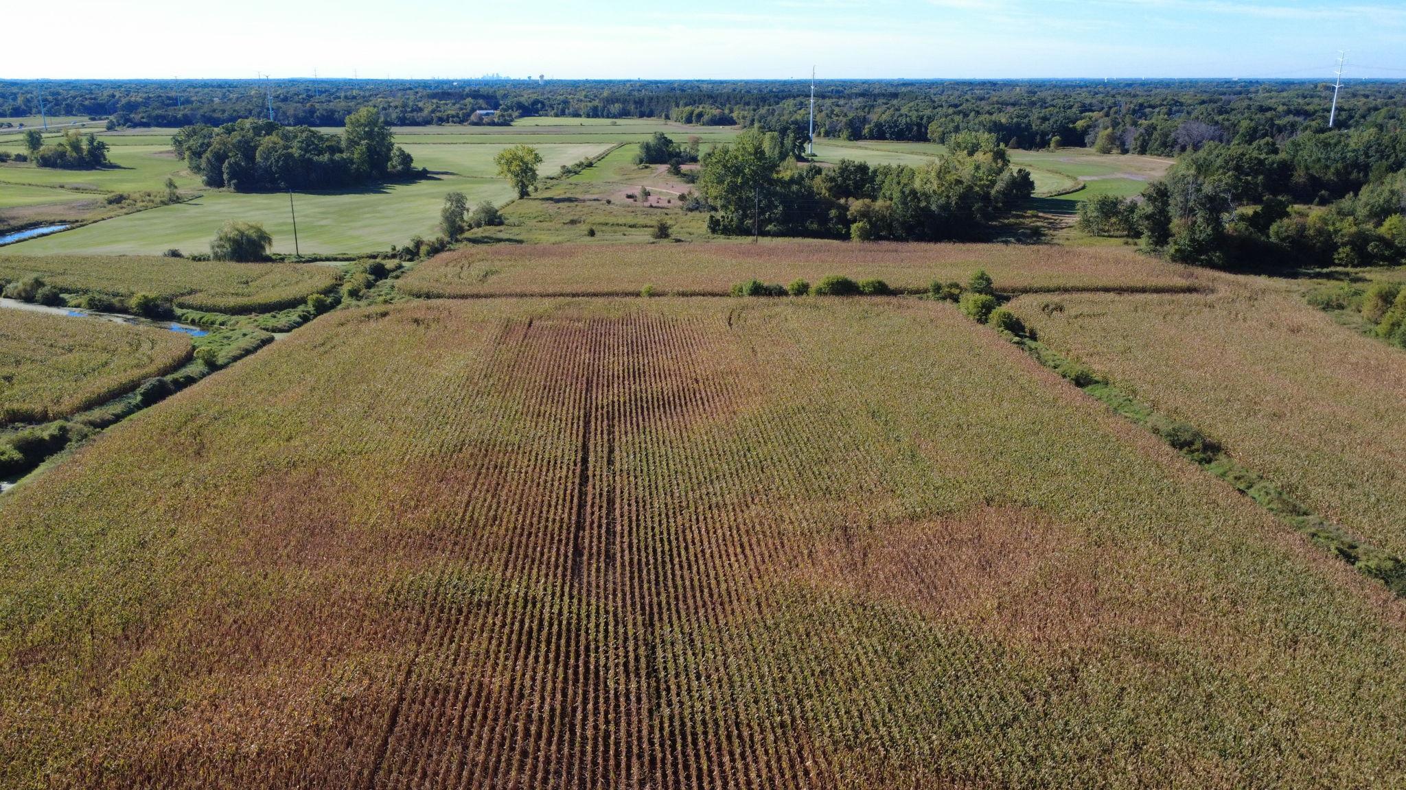 View of Land at XXX TBD, Andover MN 55304, Andover (34 of 44) - Mike Wilen | Minnesota Team Real Estate