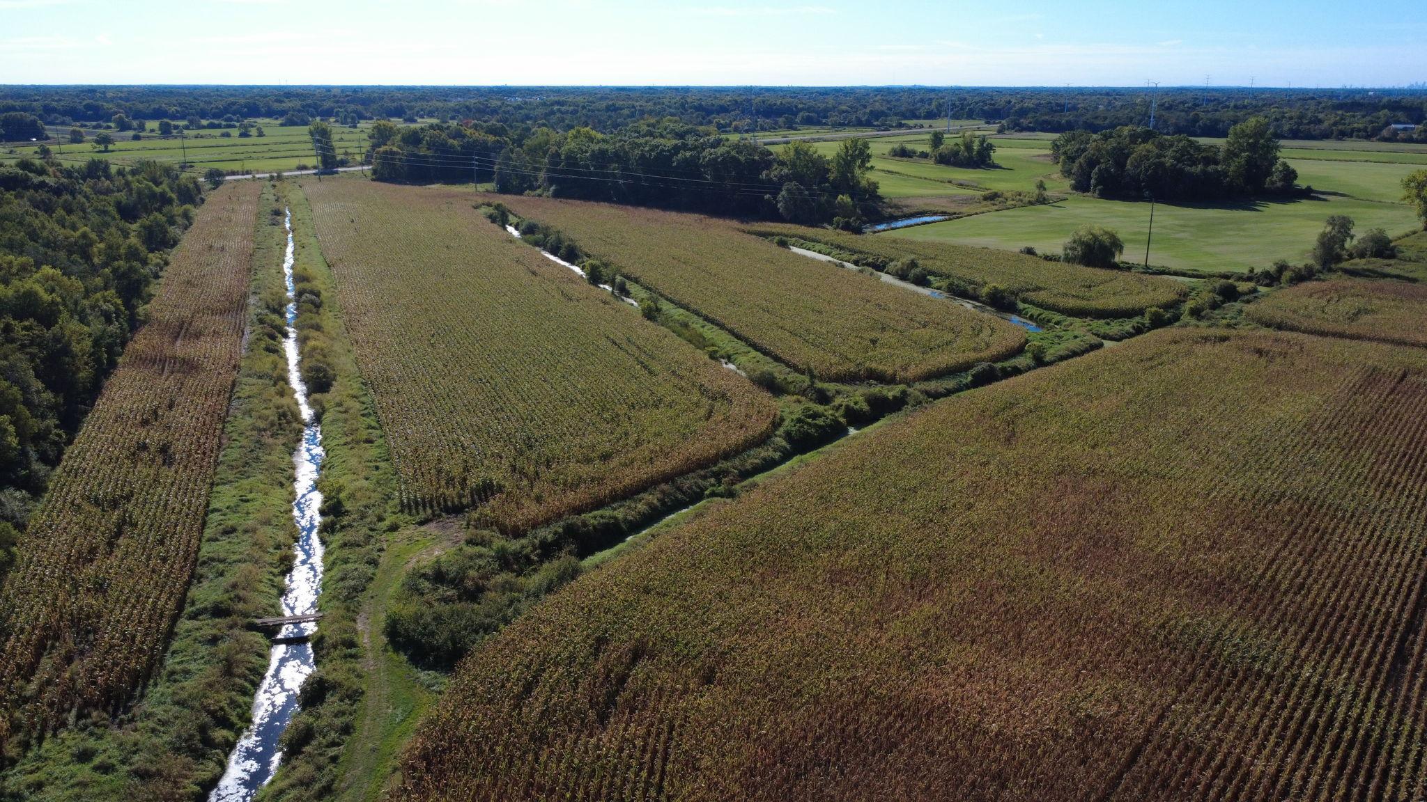 View of Land at XXX TBD, Andover MN 55304, Andover (33 of 44) - Mike Wilen | Minnesota Team Real Estate
