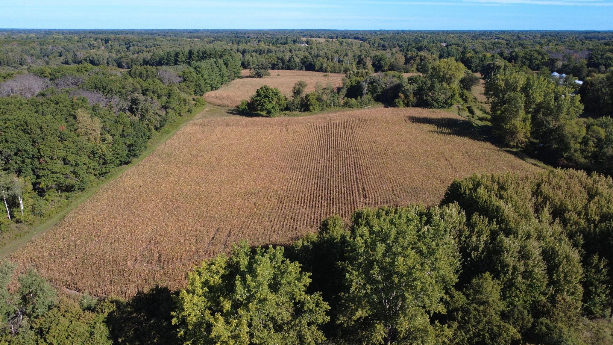 View of Land at XXX TBD, Andover MN 55304, Andover (32 of 44) - Mike Wilen | Minnesota Team Real Estate