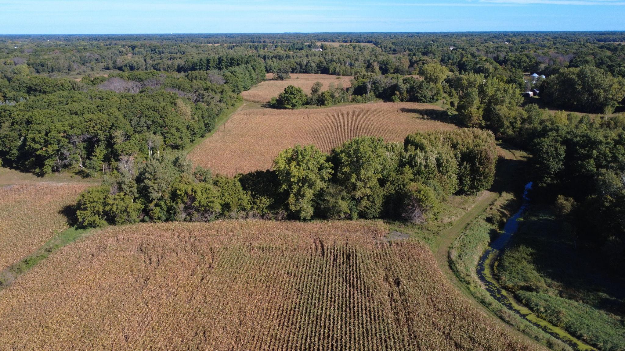 View of Land at XXX TBD, Andover MN 55304, Andover (31 of 44) - Mike Wilen | Minnesota Team Real Estate