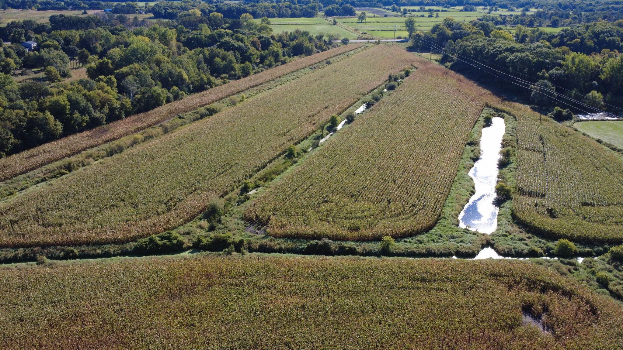 View of Land at XXX TBD, Andover MN 55304, Andover (30 of 44) - Mike Wilen | Minnesota Team Real Estate