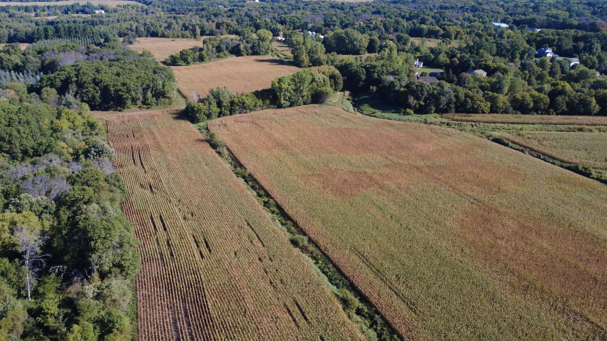 View of Land at XXX TBD, Andover MN 55304, Andover (29 of 44) - Mike Wilen | Minnesota Team Real Estate