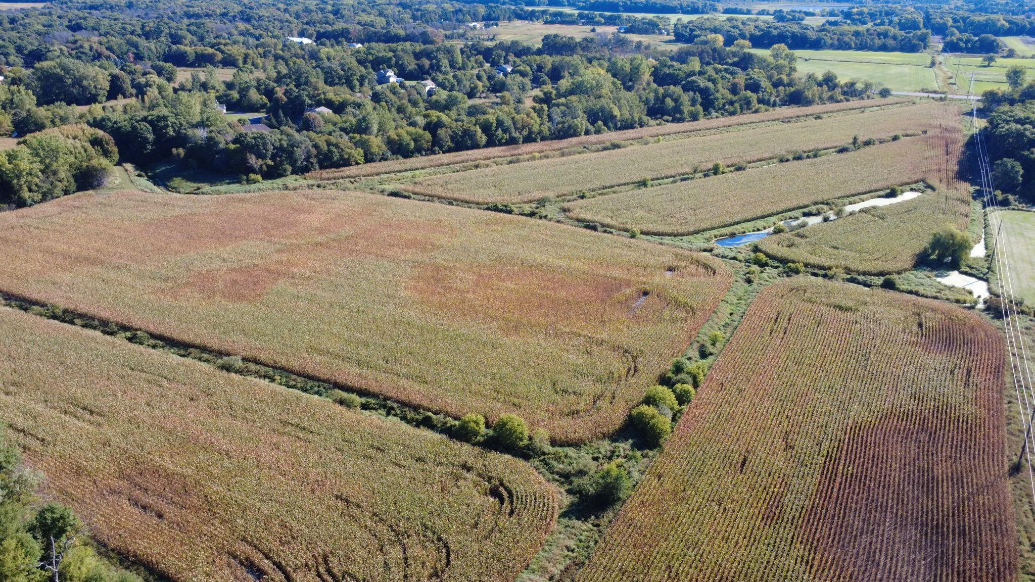 View of Land at XXX TBD, Andover MN 55304, Andover (28 of 44) - Mike Wilen | Minnesota Team Real Estate