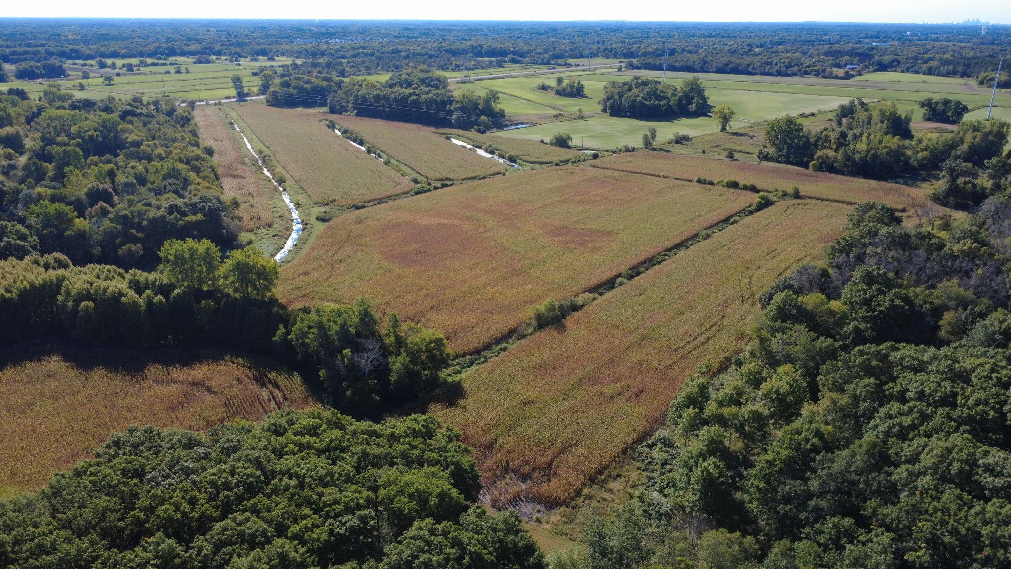 View of Land at XXX TBD, Andover MN 55304, Andover (24 of 44) - Mike Wilen | Minnesota Team Real Estate