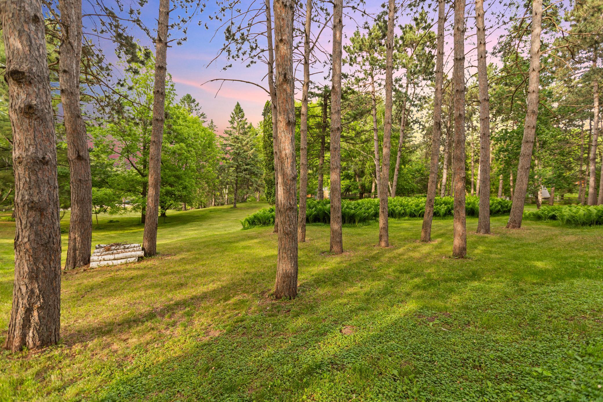 View of Residential at 15581 Afton Boulevard, Afton MN 55001, Afton (61 of 94) - Mike Wilen | Minnesota Team Real Estate