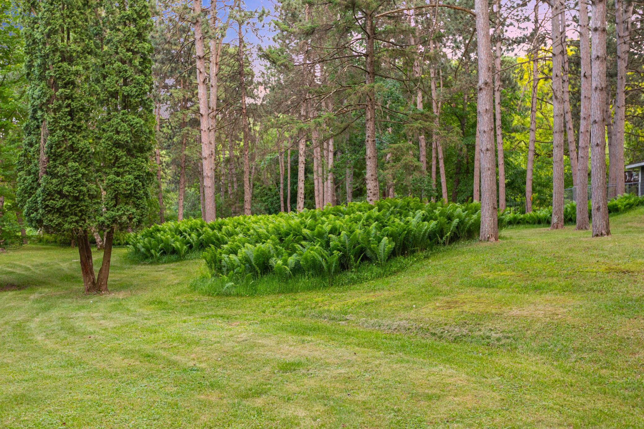 View of Residential at 15581 Afton Boulevard, Afton MN 55001, Afton (62 of 94) - Mike Wilen | Minnesota Team Real Estate