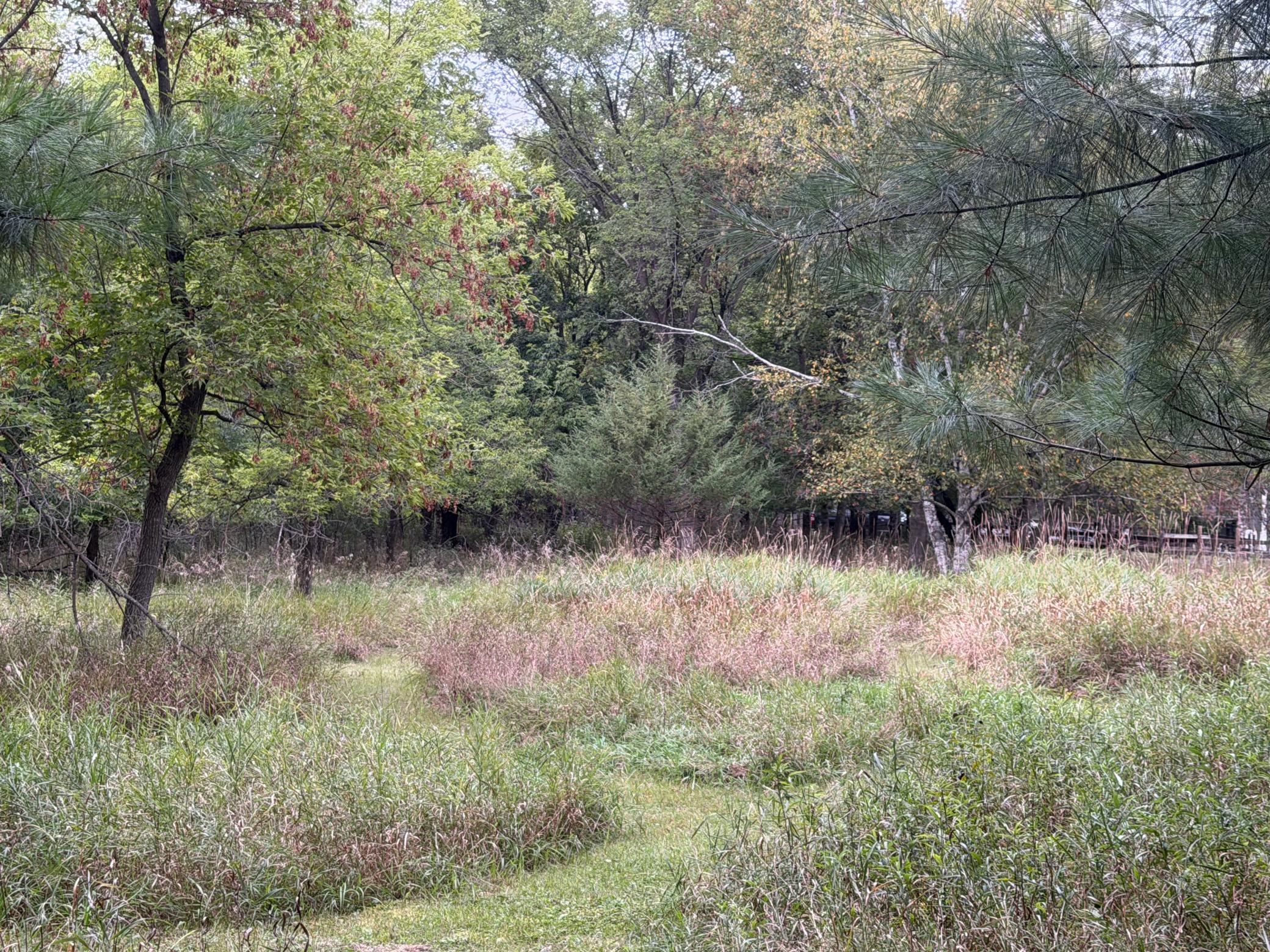 View of Residential at 15581 Afton Boulevard, Afton MN 55001, Afton (88 of 94) - Mike Wilen | Minnesota Team Real Estate