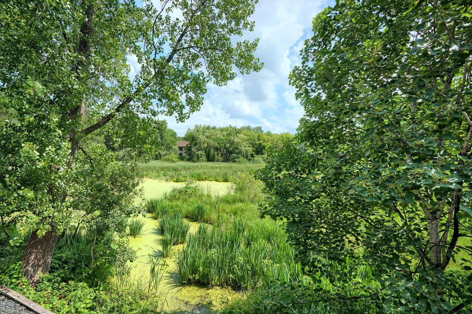 View of Residential at 17141 Jefferson Court, Lakeville MN 55044, Lakeville (40 of 43) - Mike Wilen | Minnesota Team Real Estate