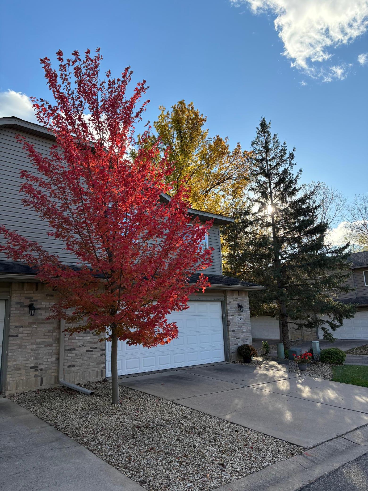 View of Residential at 7249 32nd Avenue, Crystal MN 55427, Crystal (37 of 39) - Mike Wilen | Minnesota Team Real Estate