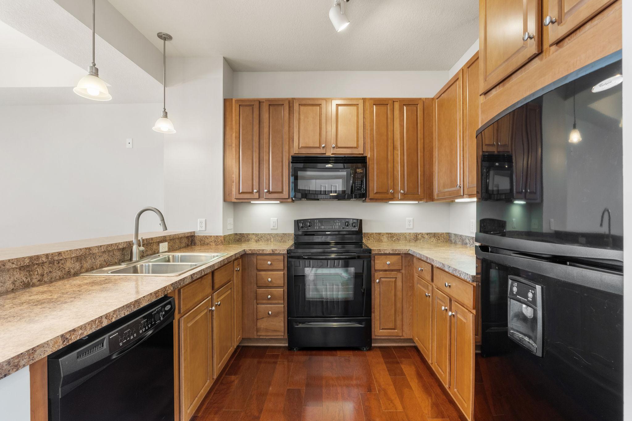 View of Residential at 3110 Chestnut Street #301, Chaska MN 55318, Chaska (5 of 47) - Mike Wilen | Minnesota Team Real Estate