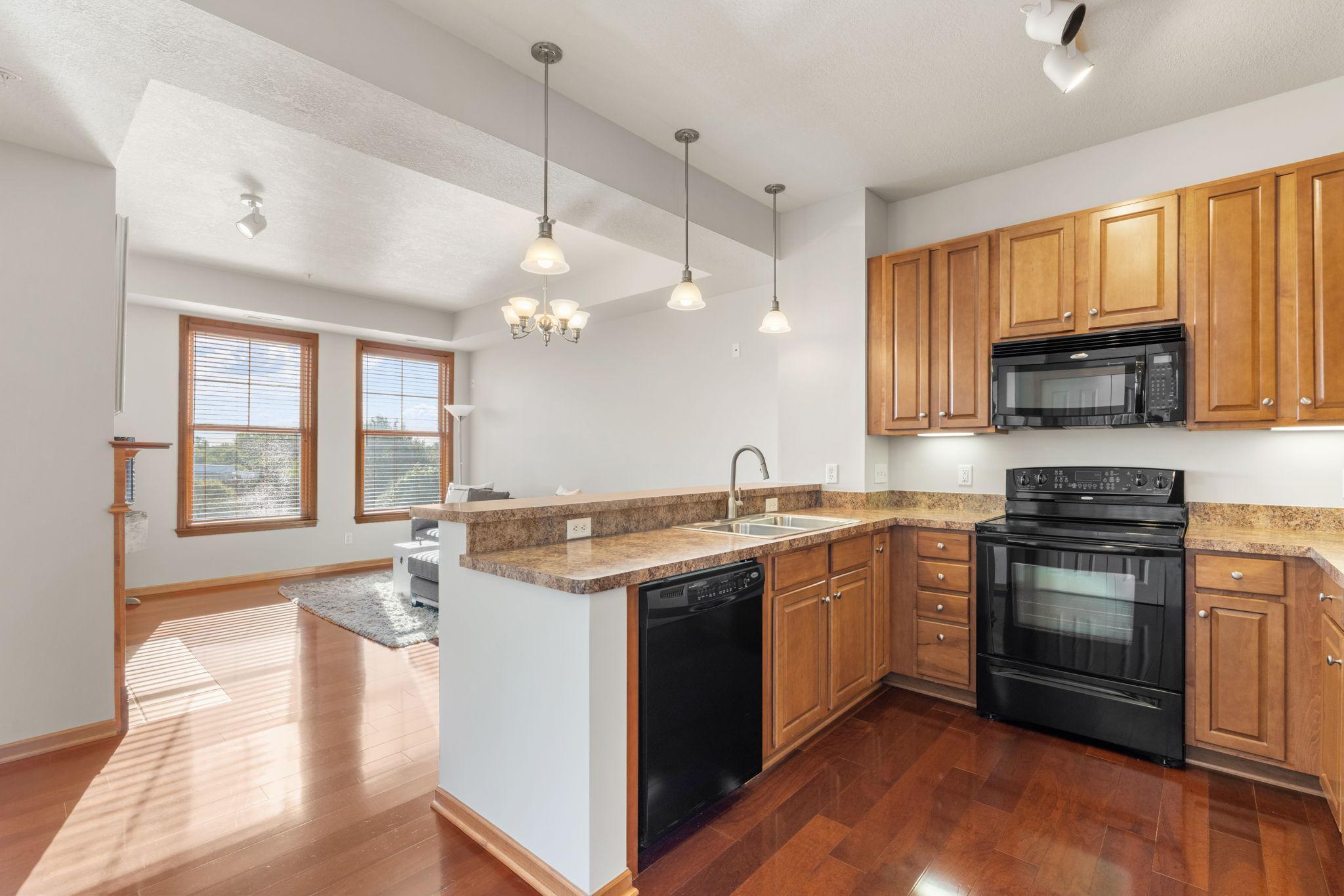 View of Residential at 3110 Chestnut Street #301, Chaska MN 55318, Chaska (4 of 47) - Mike Wilen | Minnesota Team Real Estate
