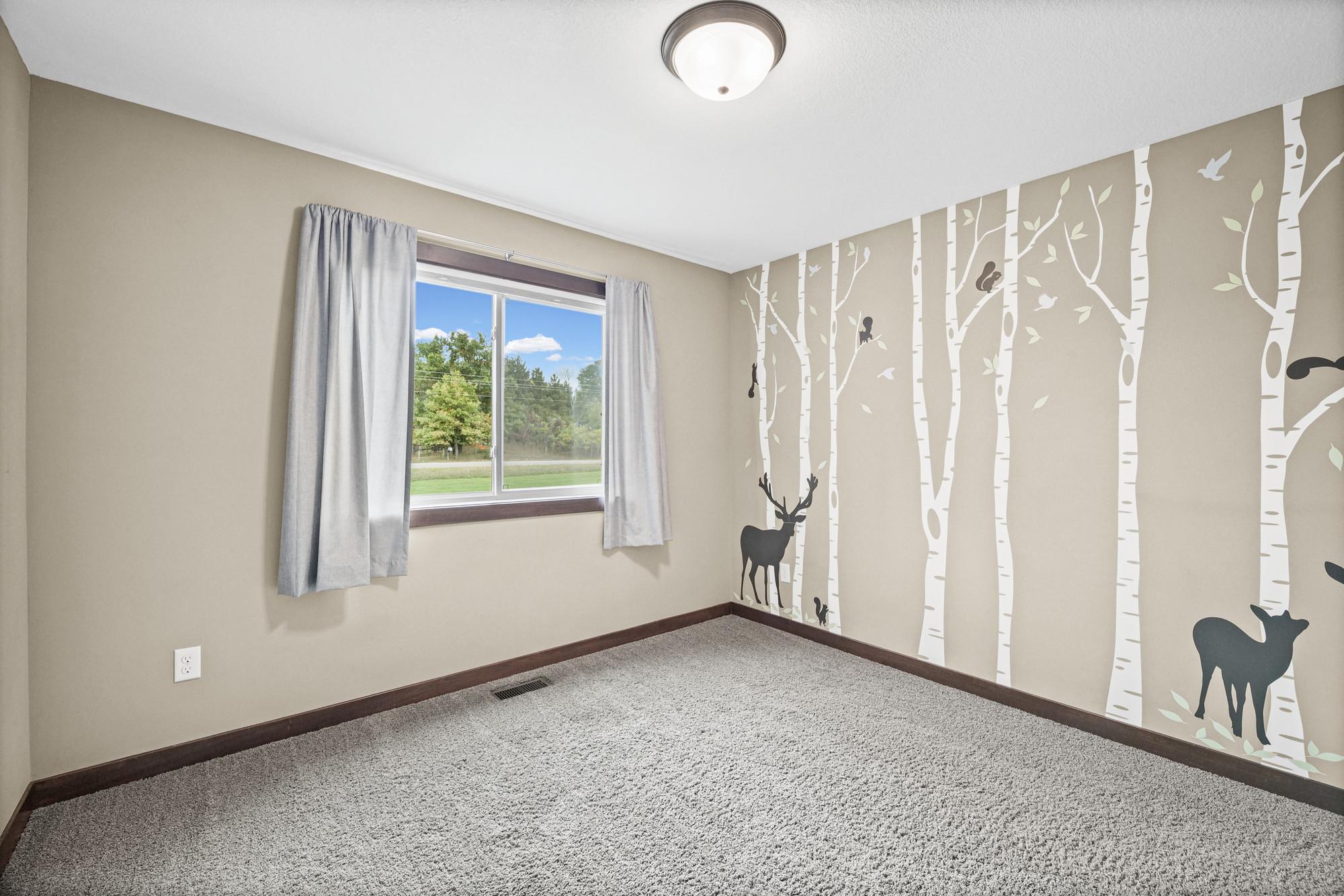 View of Residential at 24065 Leo Street, Stacy MN 55079, Stacy (31 of 70) - Mike Wilen | Minnesota Team Real Estate