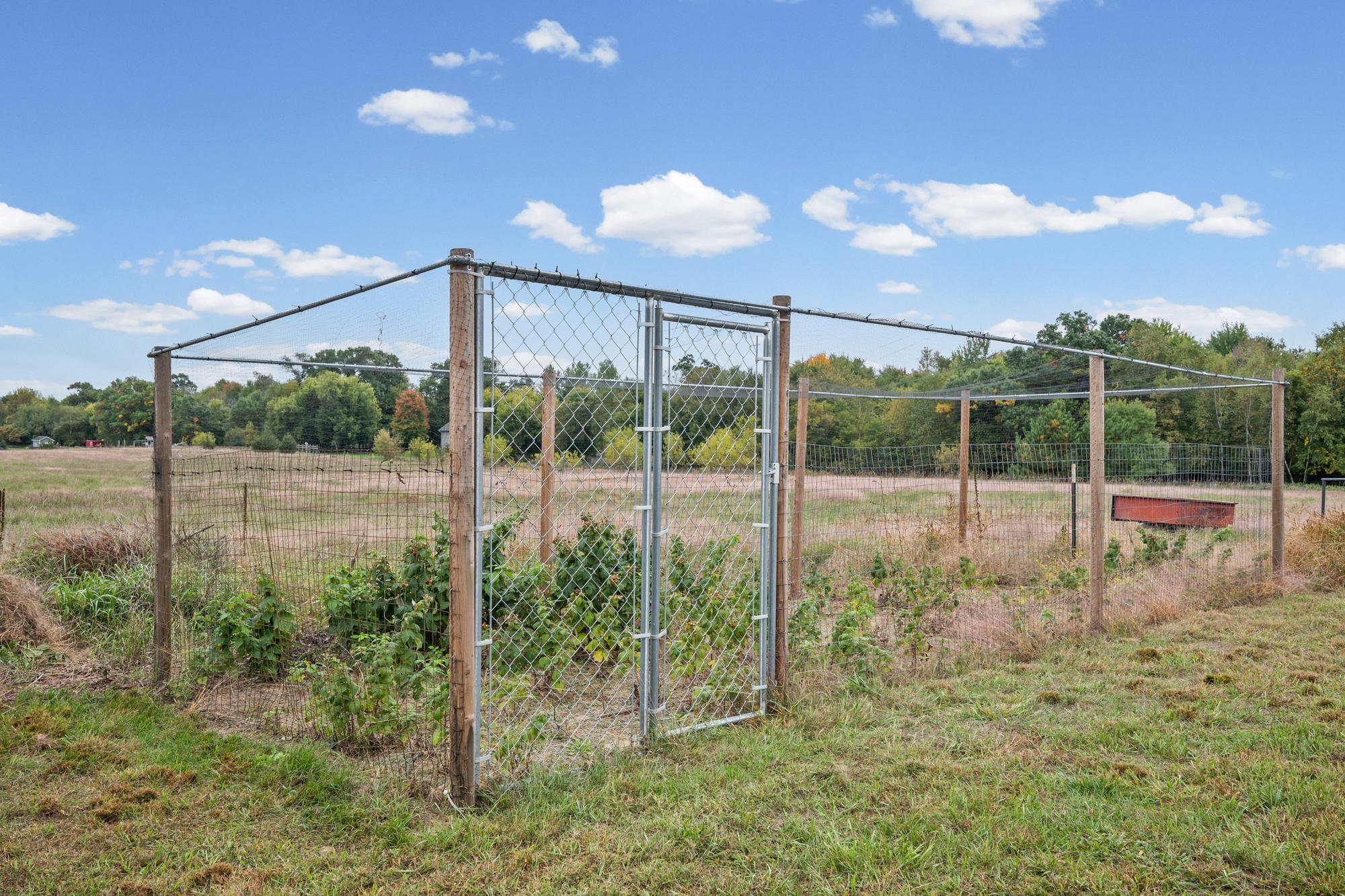 View of Residential at 24065 Leo Street, Stacy MN 55079, Stacy (63 of 70) - Mike Wilen | Minnesota Team Real Estate