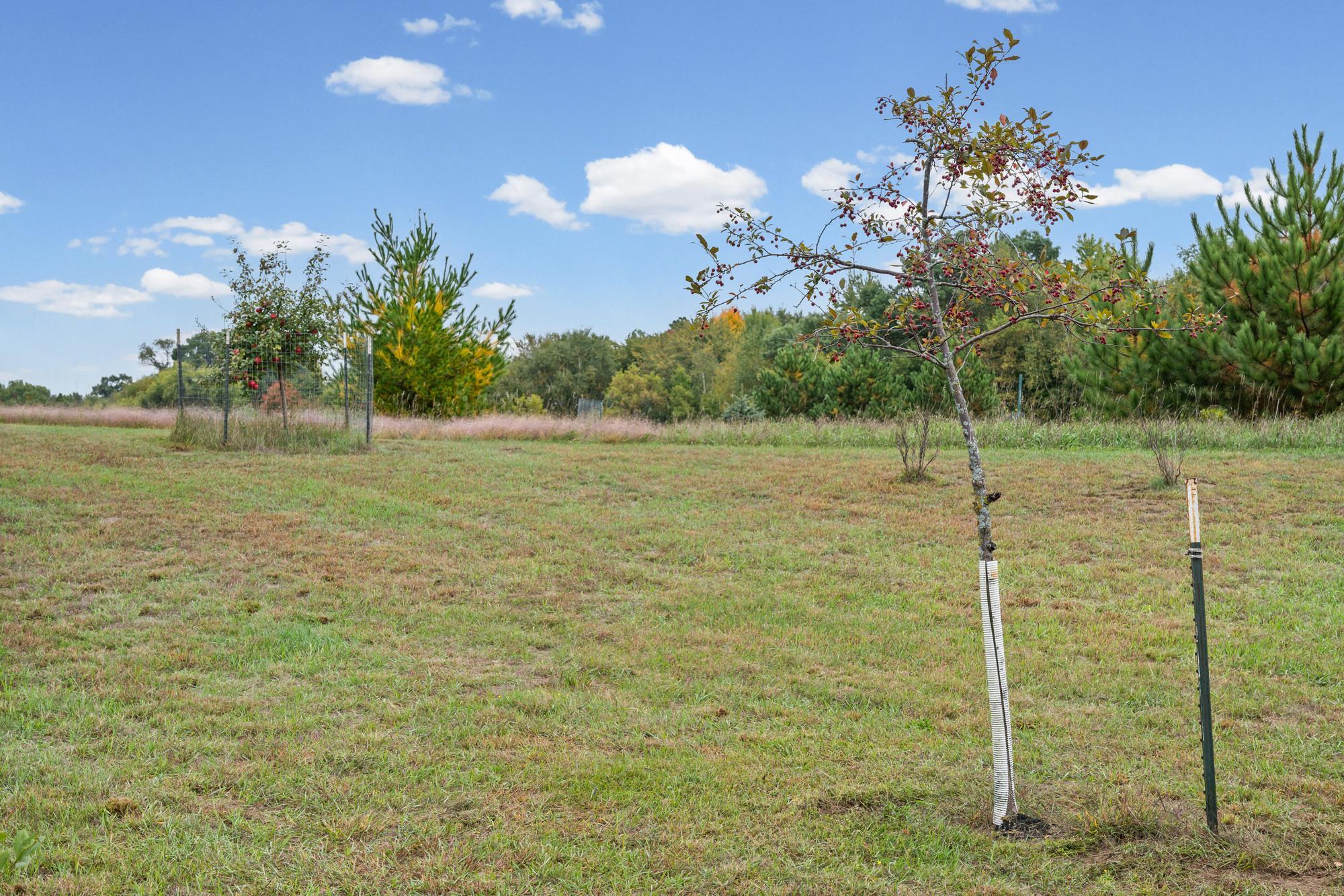 View of Residential at 24065 Leo Street, Stacy MN 55079, Stacy (67 of 70) - Mike Wilen | Minnesota Team Real Estate