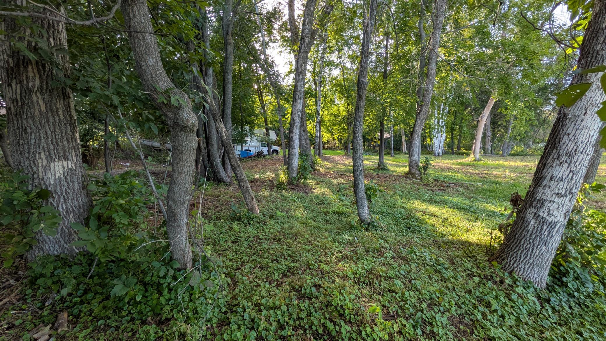 View of Land at 24257 Typo Drive, Stacy MN 55079, Stacy (16 of 23) - Mike Wilen | Minnesota Team Real Estate
