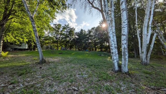 View of Land at 24257 Typo Drive, Stacy MN 55079, Stacy (12 of 23) - Mike Wilen | Minnesota Team Real Estate