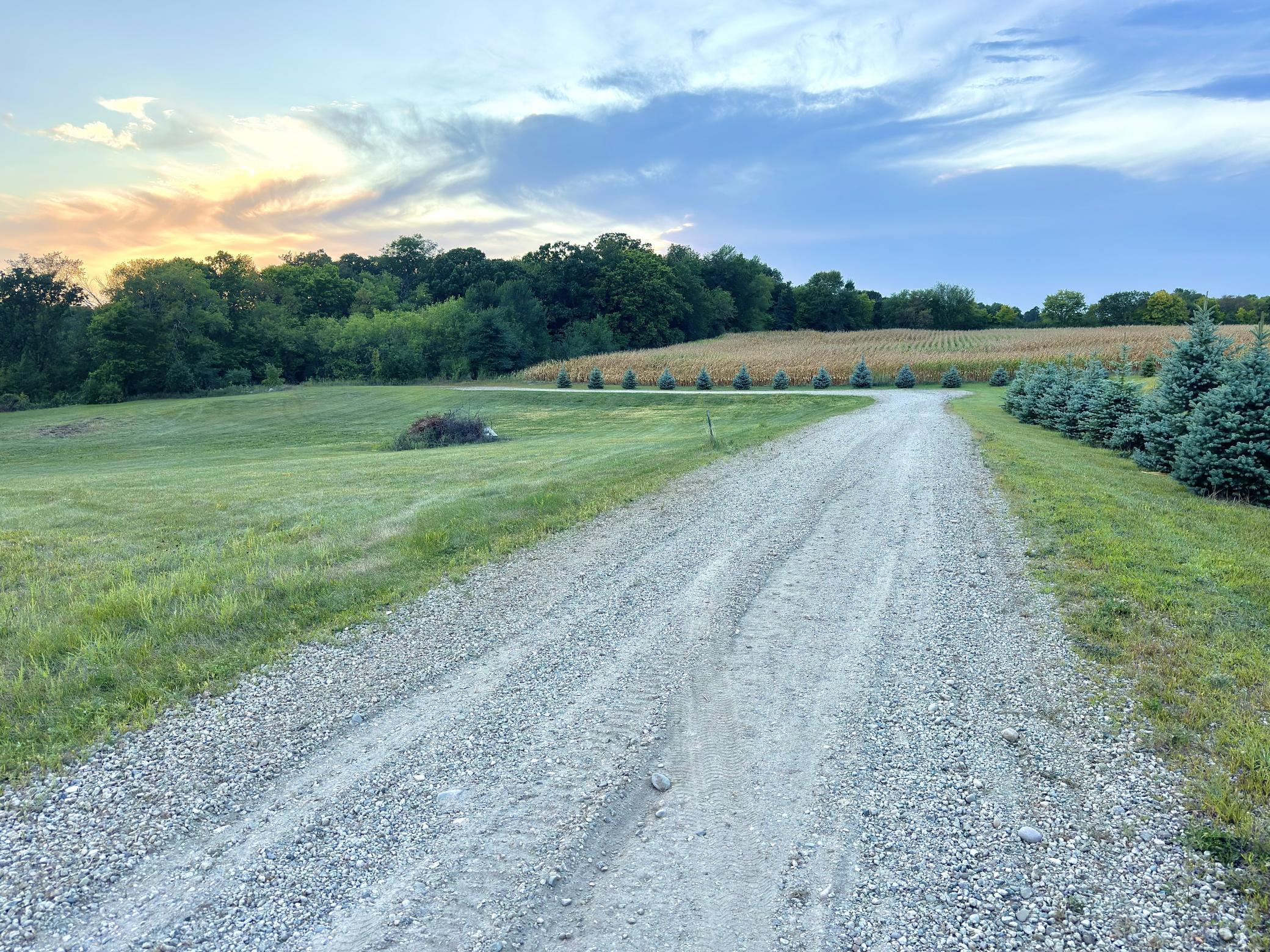 View of Land at TBD 80th Street, Annandale MN 55302, Annandale (5 of 24) - Mike Wilen | Minnesota Team Real Estate